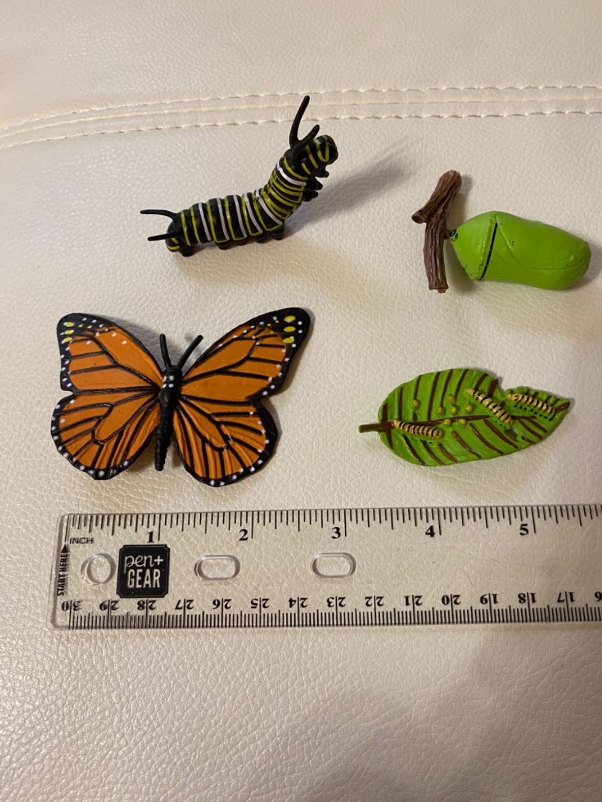 8PCS Life Cycle Figurines of Monarch Butterfly - Realistic Education Insects Life Cycle Toys, Caterpillar to Butterfly Kit Growth Stages Figures customer photo 1