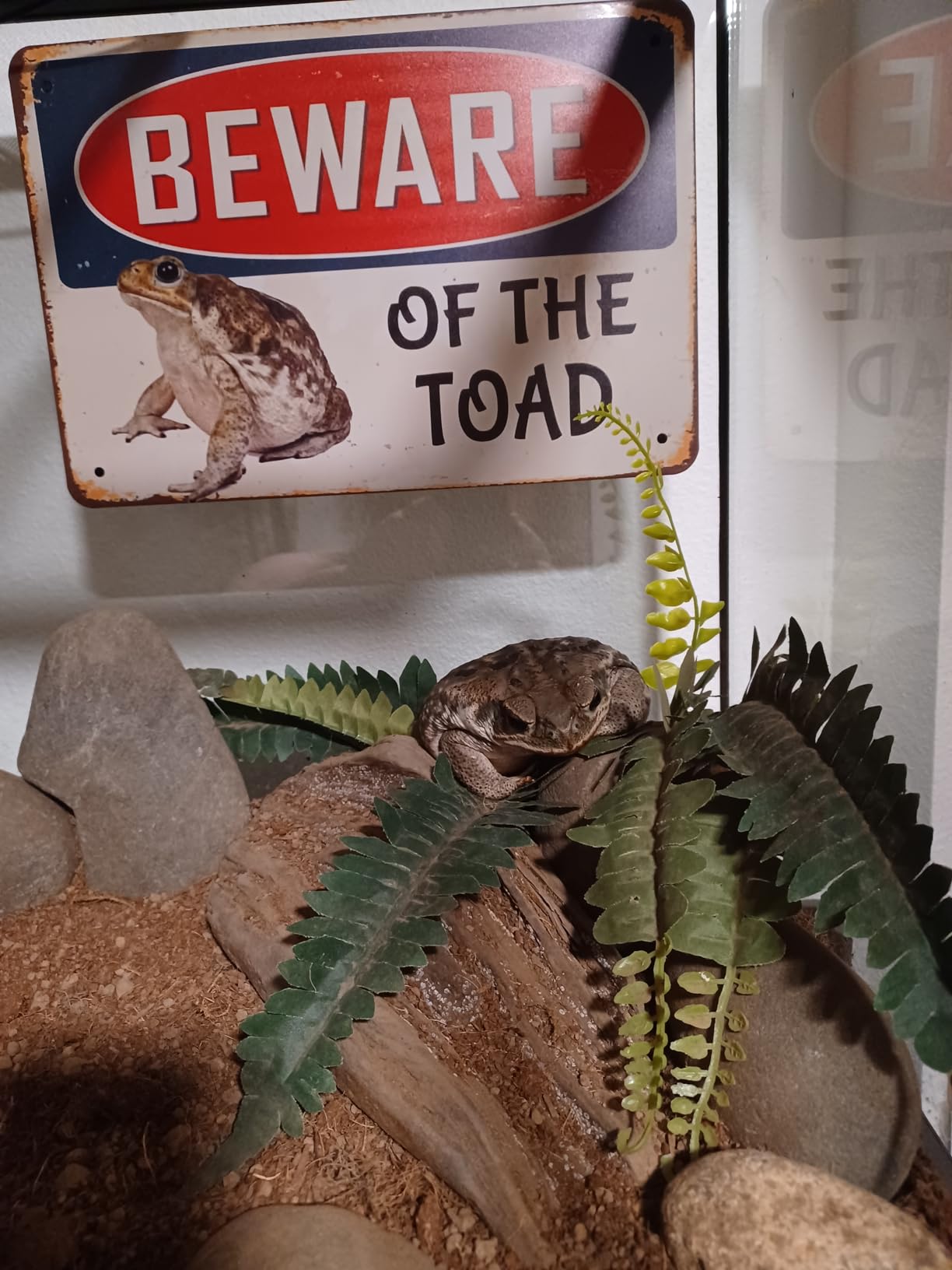 CAEJCCL Beware of the Toad Metal Tin Warning Sign for Home Outdoor Garden - Aluminum Sign 8x12 Inches customer photo 2