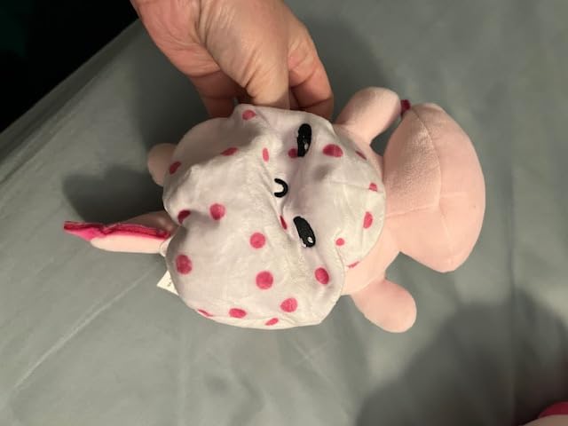 Reversible Tarantula to Egg Plushie | Happy + Sad | Show Your Mood | Stress Relief Plush 7