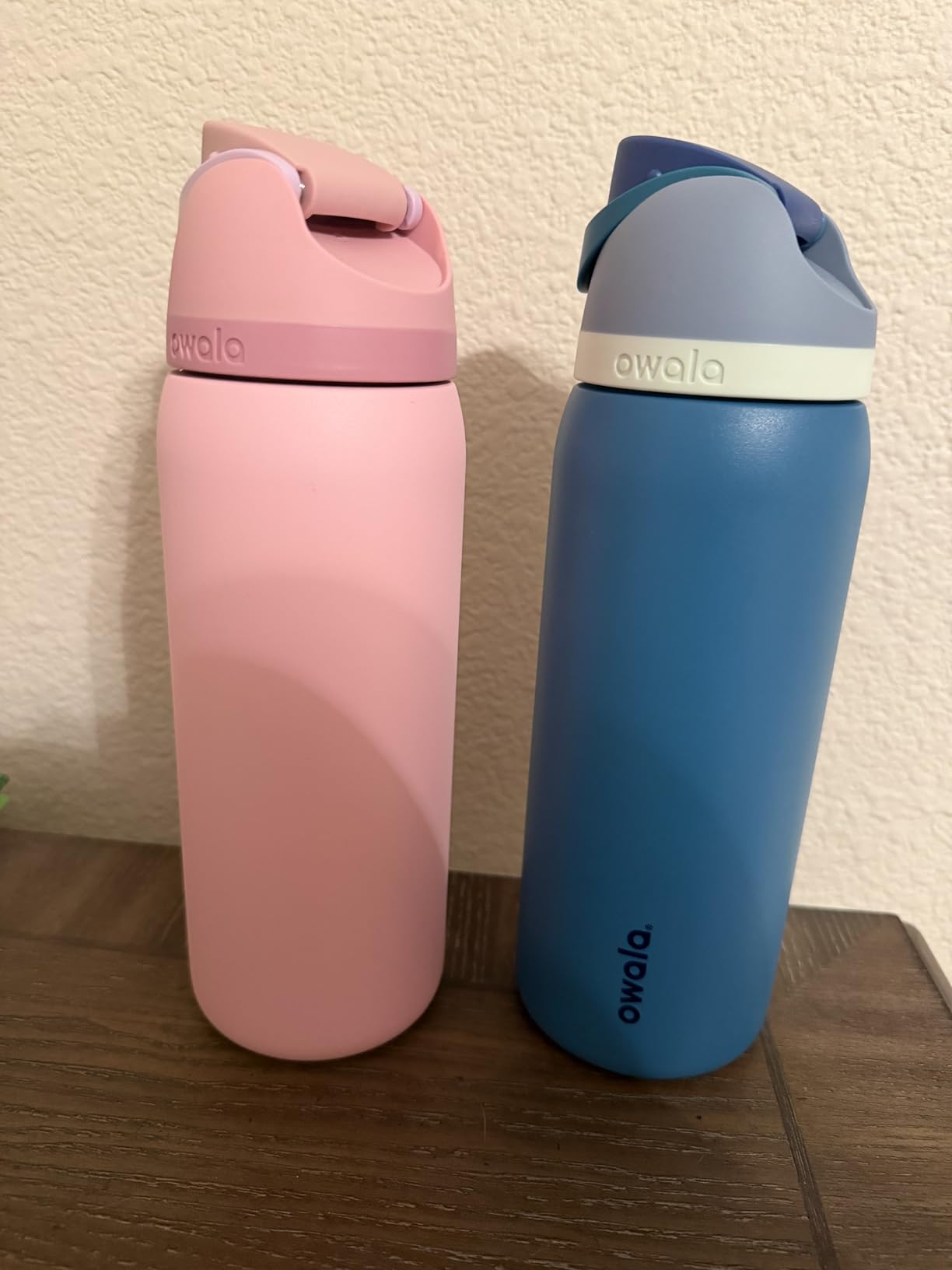 Owala FreeSip Stainless Steel Water Bottle 24 oz customer photo 1