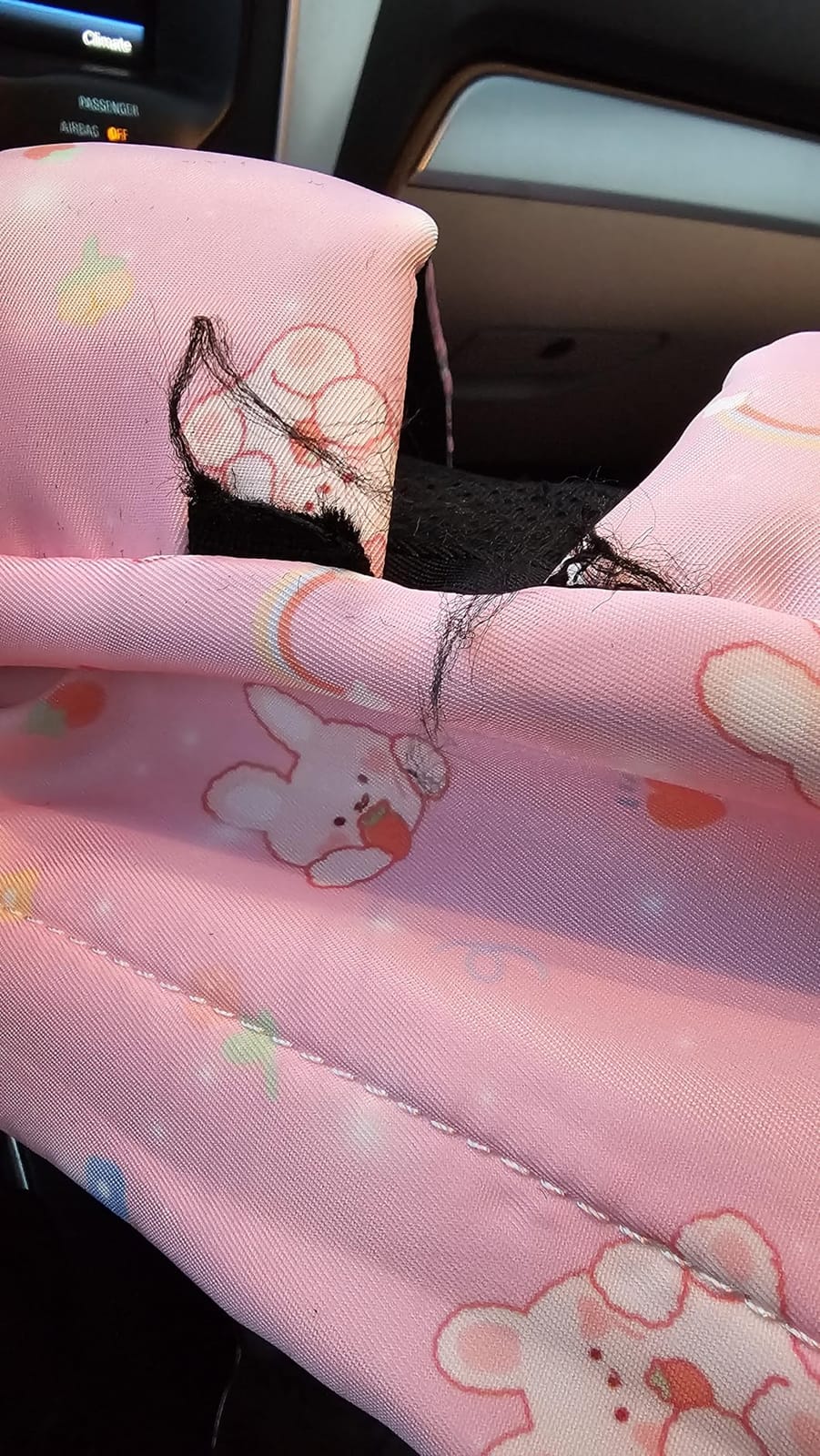 Girls School Backpacks for Kids Teens, 3-in-1 School Bag Bookbags Set with Lunch Bag Pencil Case customer photo 1