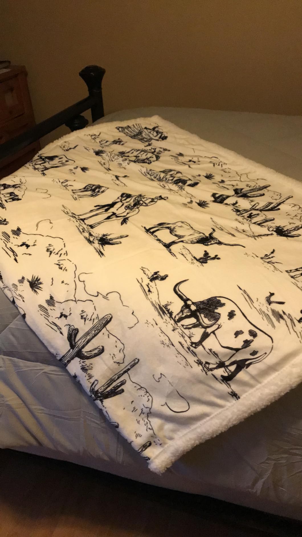 Indigo Hill by HiEnd Accents Home on the Range 54x68 Throw Blanket | Buffalo Bison Print with Aztec Pattern, Western-Style Sherpa Fleece Blanket for the Couch, Sofa, Bed, or Camping customer photo 2