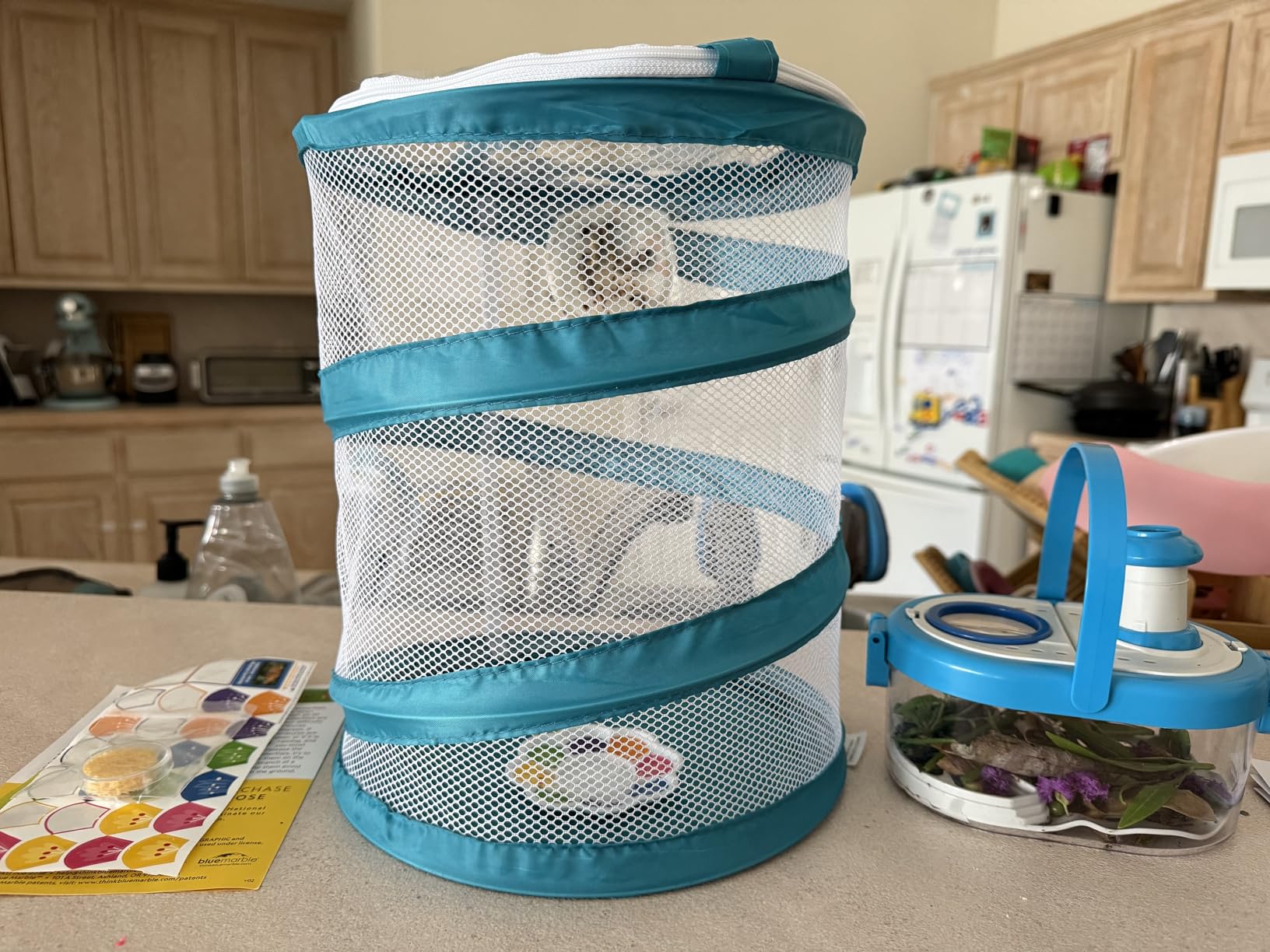 National Geographic Bug Catcher Kit and Outdoor Insect Habitat for Kids | 360-Degree Viewer, 2 Magnifying Lenses, Catching Net, Tweezers, Outdoor Exploration Toy customer photo 1
