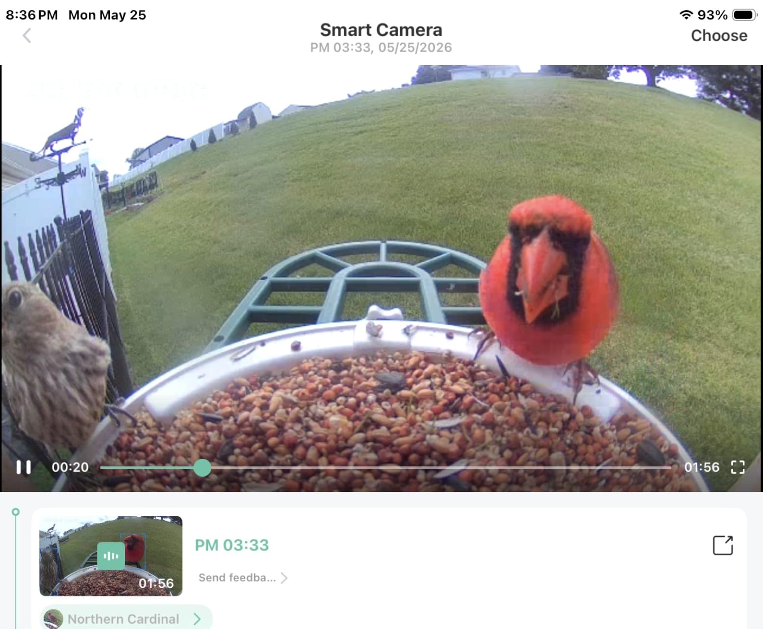 HARYMOR Smart Bird Feeder with Camera - AI Identify Birds Species, Solar Powered Bird House with Cam, 2L Large Capacity, 2K HD Video Live Stream, Instant Arrival Alerts - Green customer photo 1