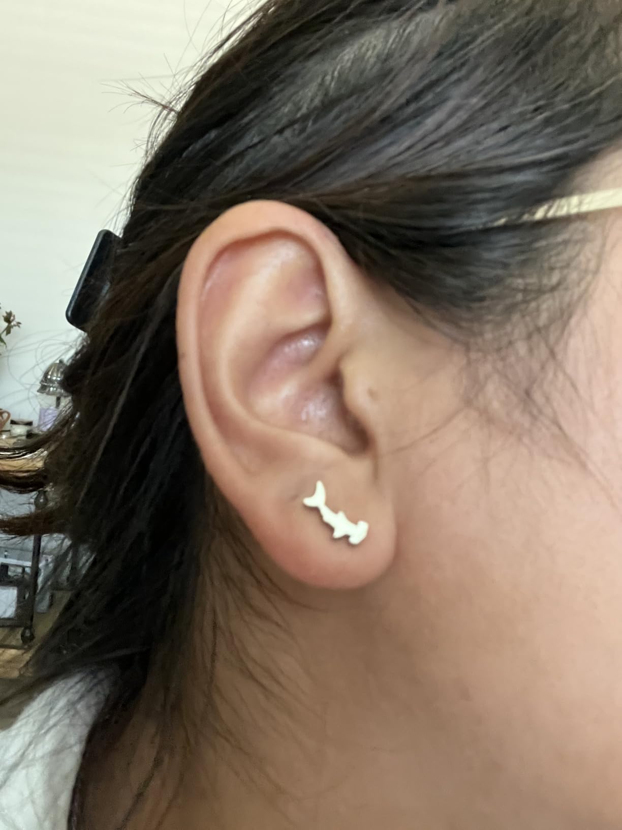 Stainless Steel Sea Ocean Animals Marine Life Earrings customer photo 2