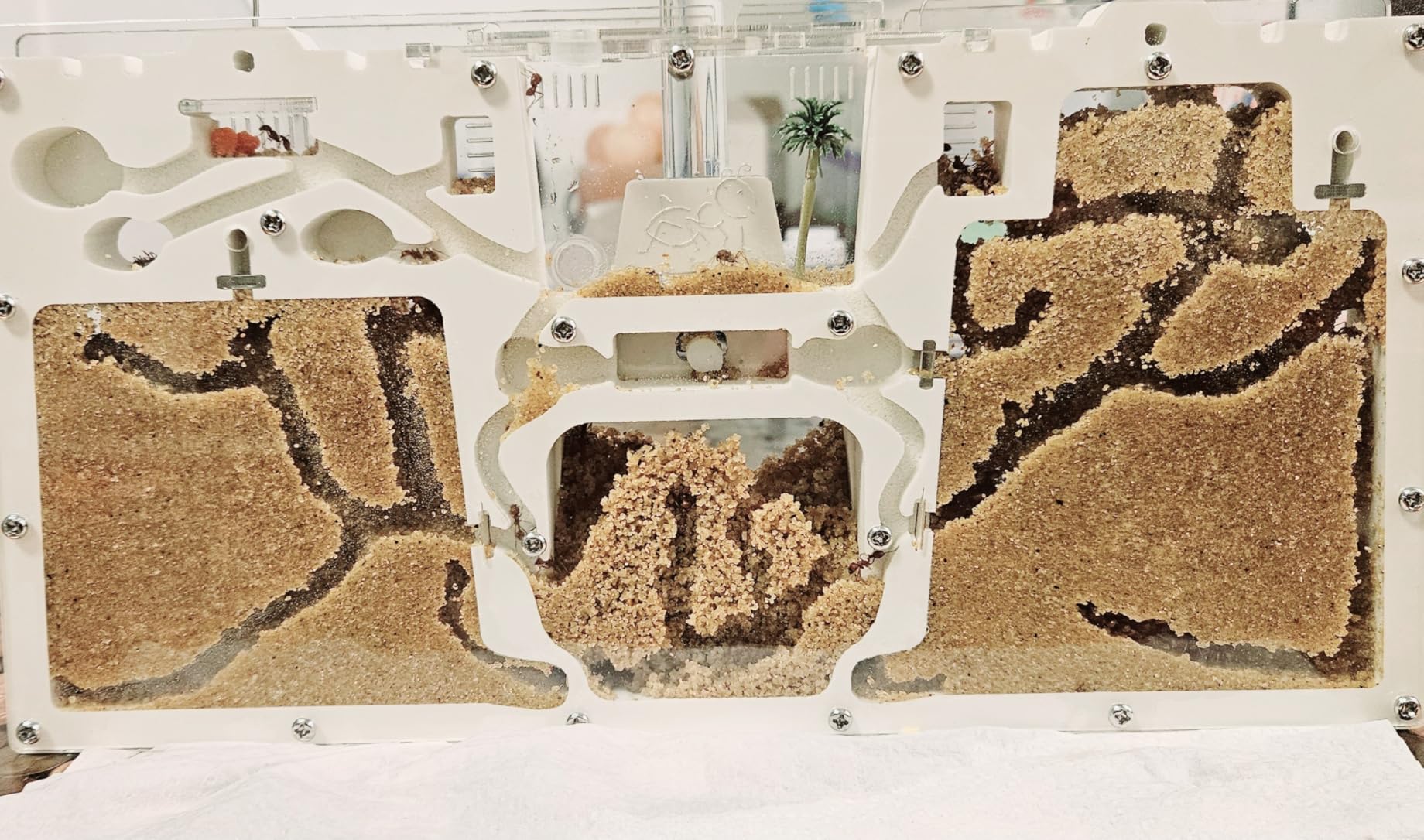 ELNMLHT Ant Farm Castle, Ant Farms with Yellow Sand and Tool Kit, Ant Colony Observation Kit, Ant Viewing Habitat Science Kit, Educational & Learning Science Kit for Kids, Adults, Student customer photo 1