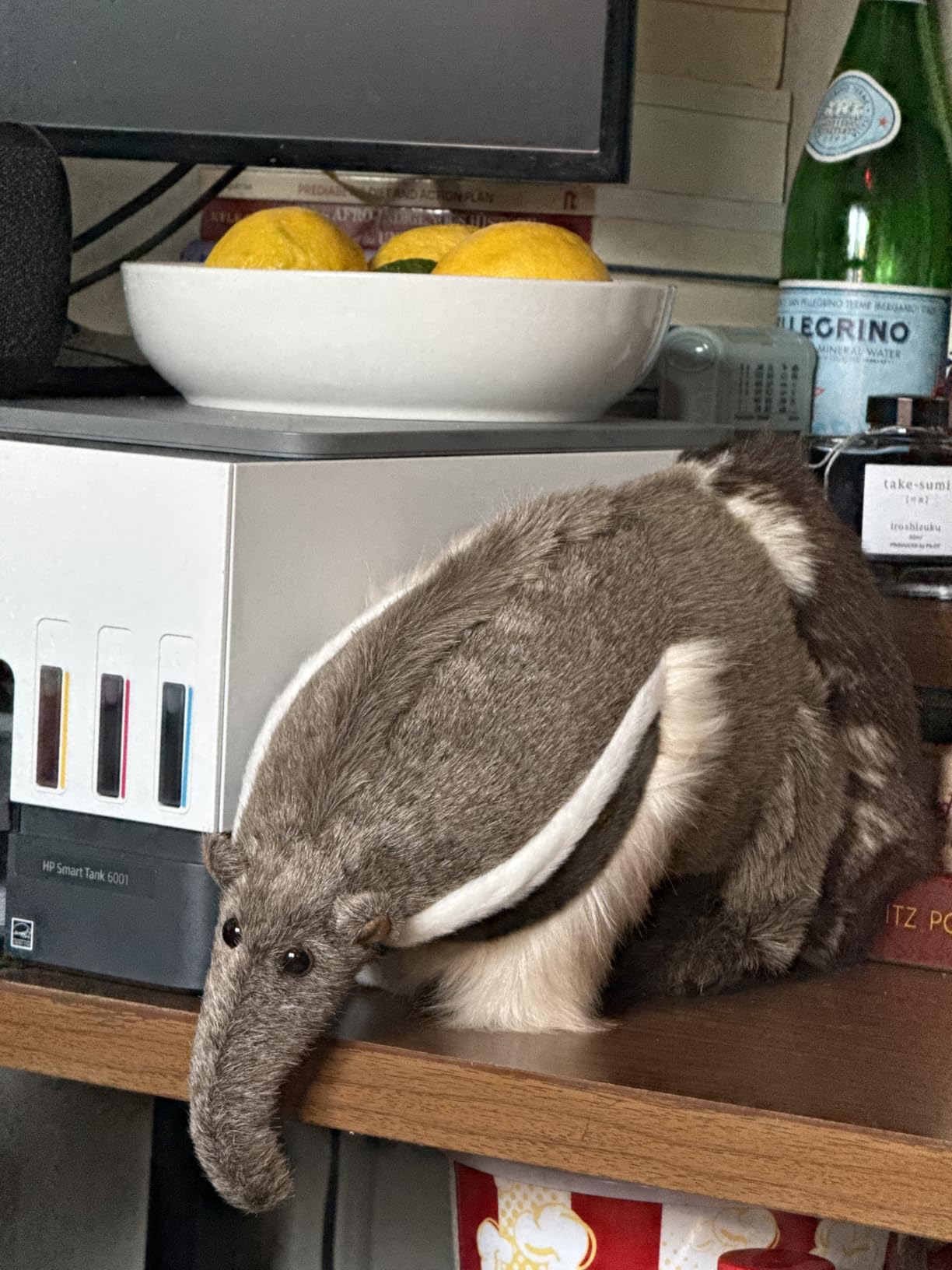 TigerHart Arsenio The Anteater - 18 Inch Stuffed Animal Plush customer photo 1