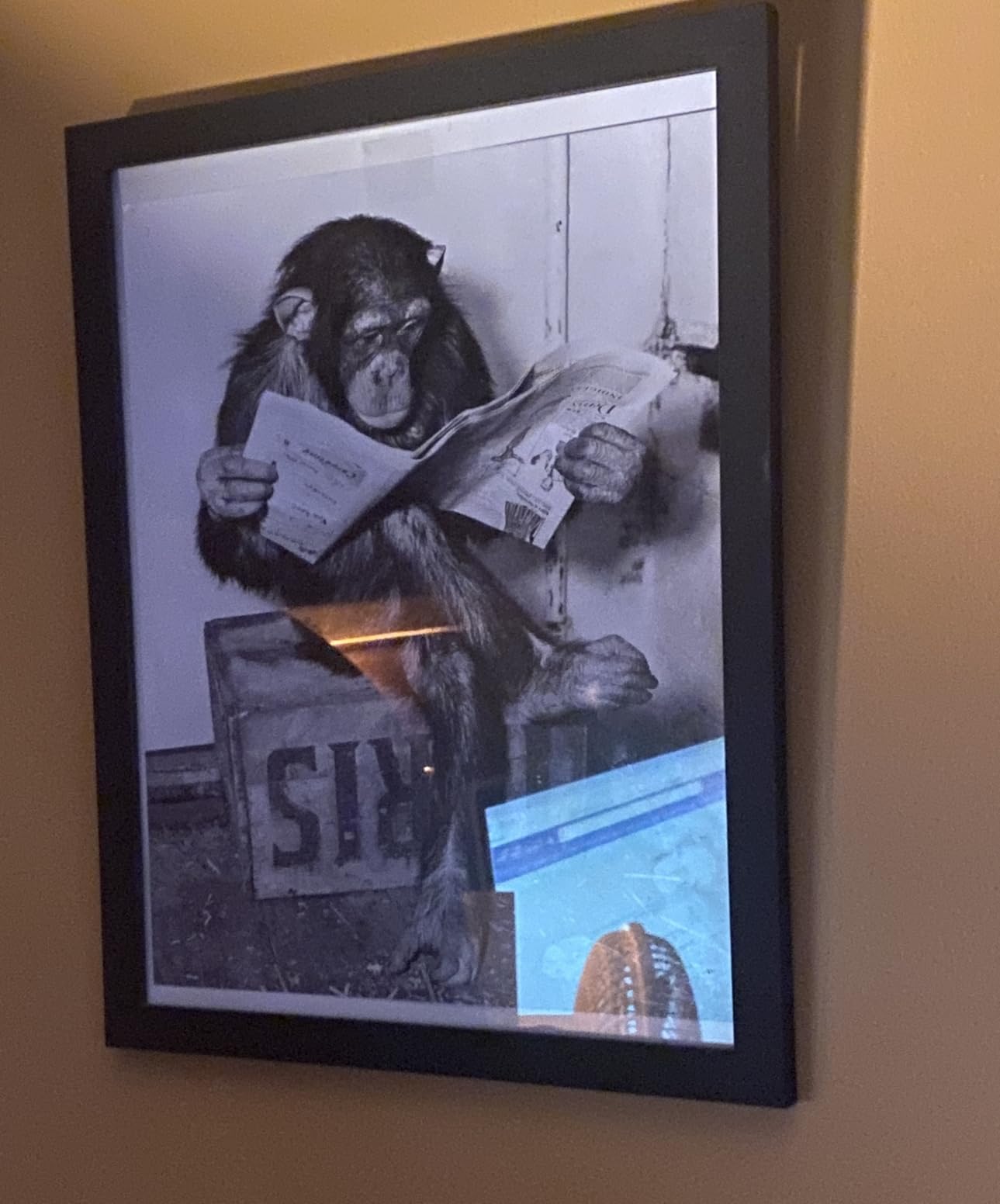 Poster Master Chimpanzee Poster - Monkey Reading Newspaper Print customer photo 2