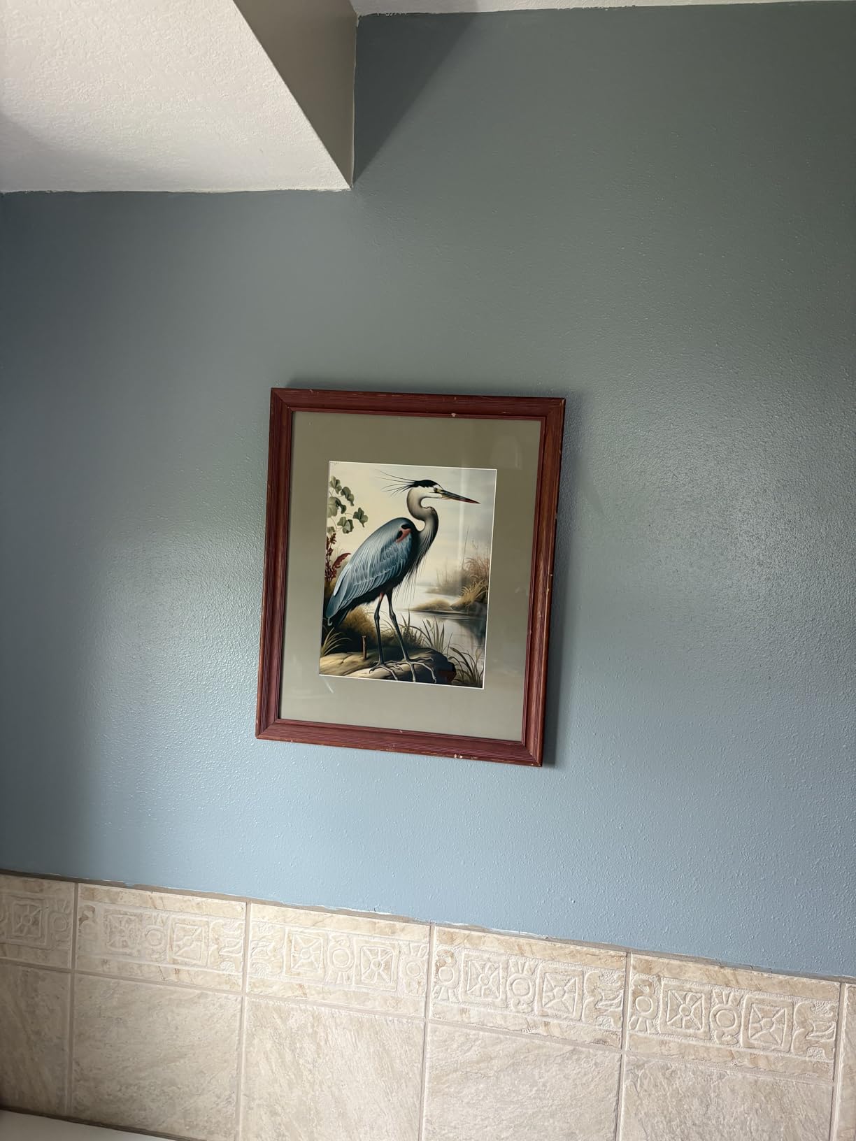 Albatross Poster Art Print Retro Vintage Bird Wall Art Poster Decor Nature, Avian Wall Decor Bird Themed. Vintage Inspired Bird Decor (Albatross, 18x24 inches (Unframed)) customer photo 1