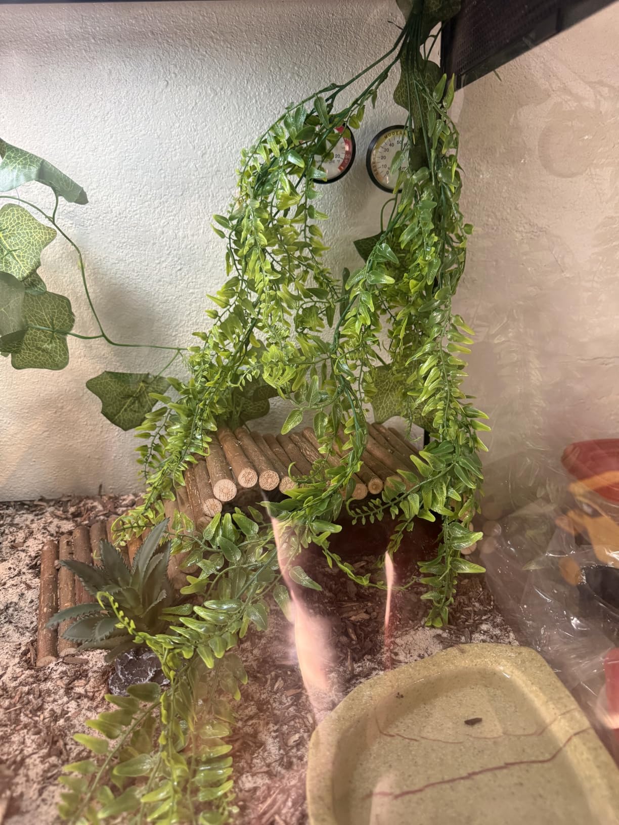 RUNANIA Bearded Dragon Tank Accessories, 10 PCS Reptile Hammock Plants Bridge Jungle Climber Vines for Snakes Bearded Dragon Chameleon Gecko Lizard customer photo 2