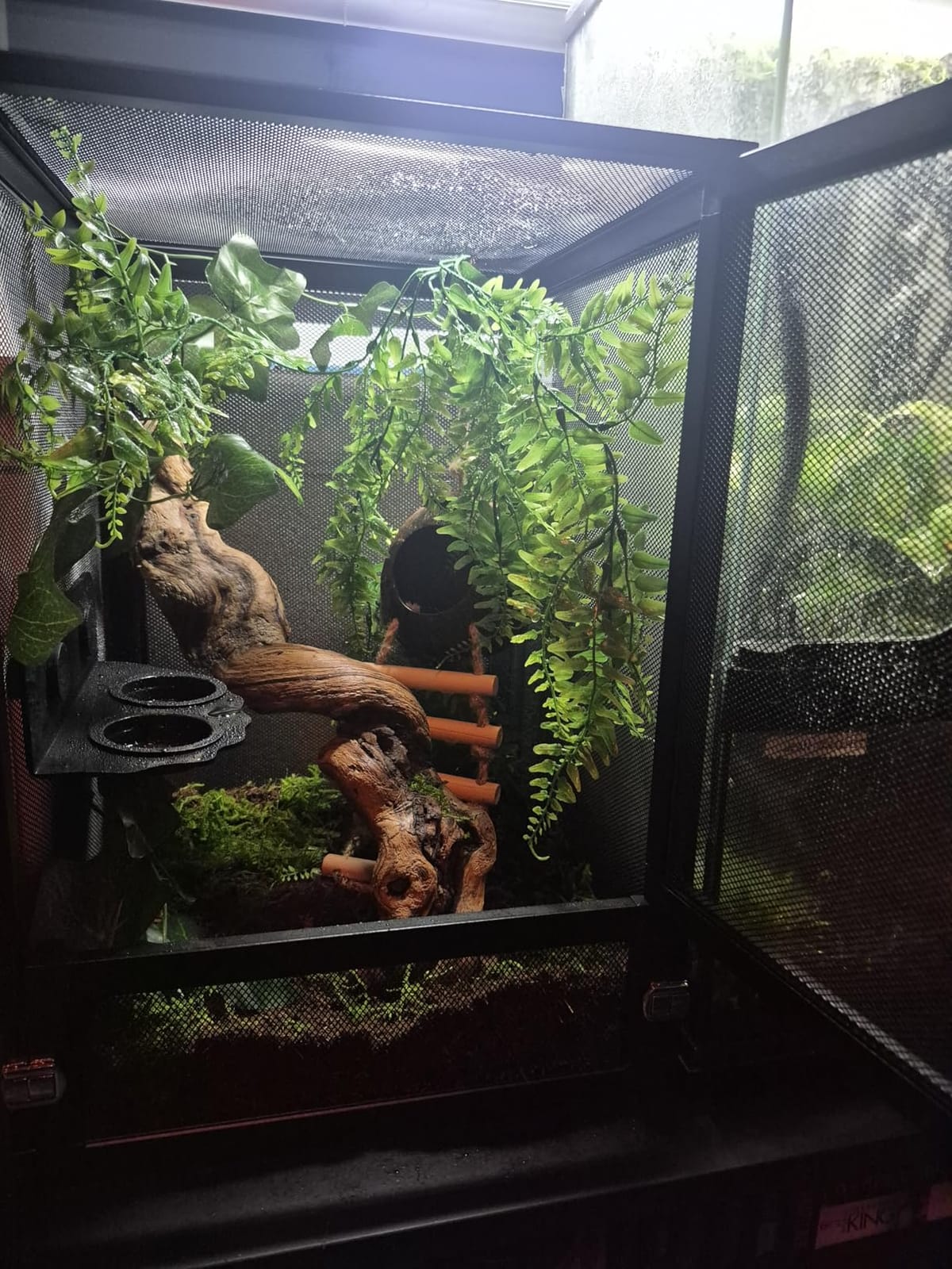 RunDuck 33 Gallon 360° Panoramic Foldable Reptile Terrarium Kit: Crested Gecko Tank and Reptile Cage for Superior Ventilation, Easy Feeding, Sturdiness, and Simple Assembly (Black, 26