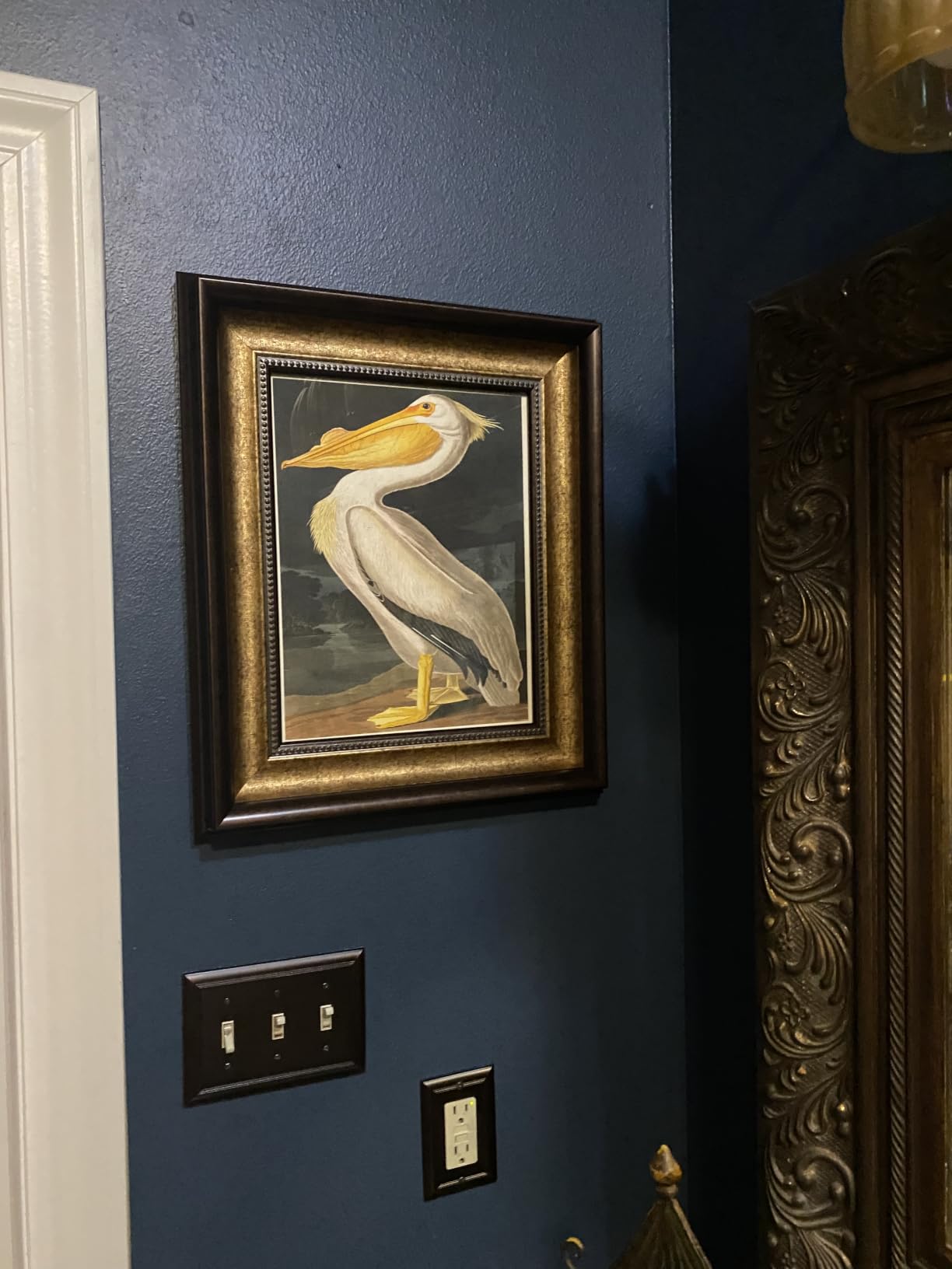 Vintage James Audubon Poster - Retro White Pelican Print - Birds of America Art - Gift for Men, Women & Animal Lover customer photo 2