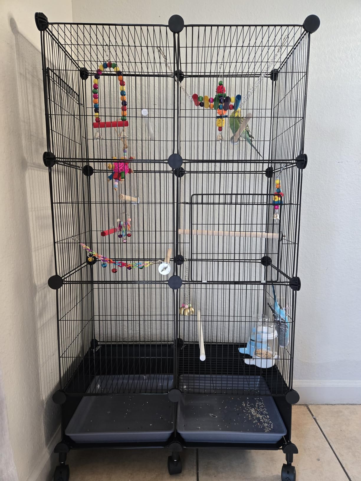 Bird Toys for Conures with Colorful Ladder Hammock Bird Cage Accerious Bird Perch Stand Chewing Toys Hanging Bell for Parrot Parakeet Cockatiel Lovebirds customer photo 1