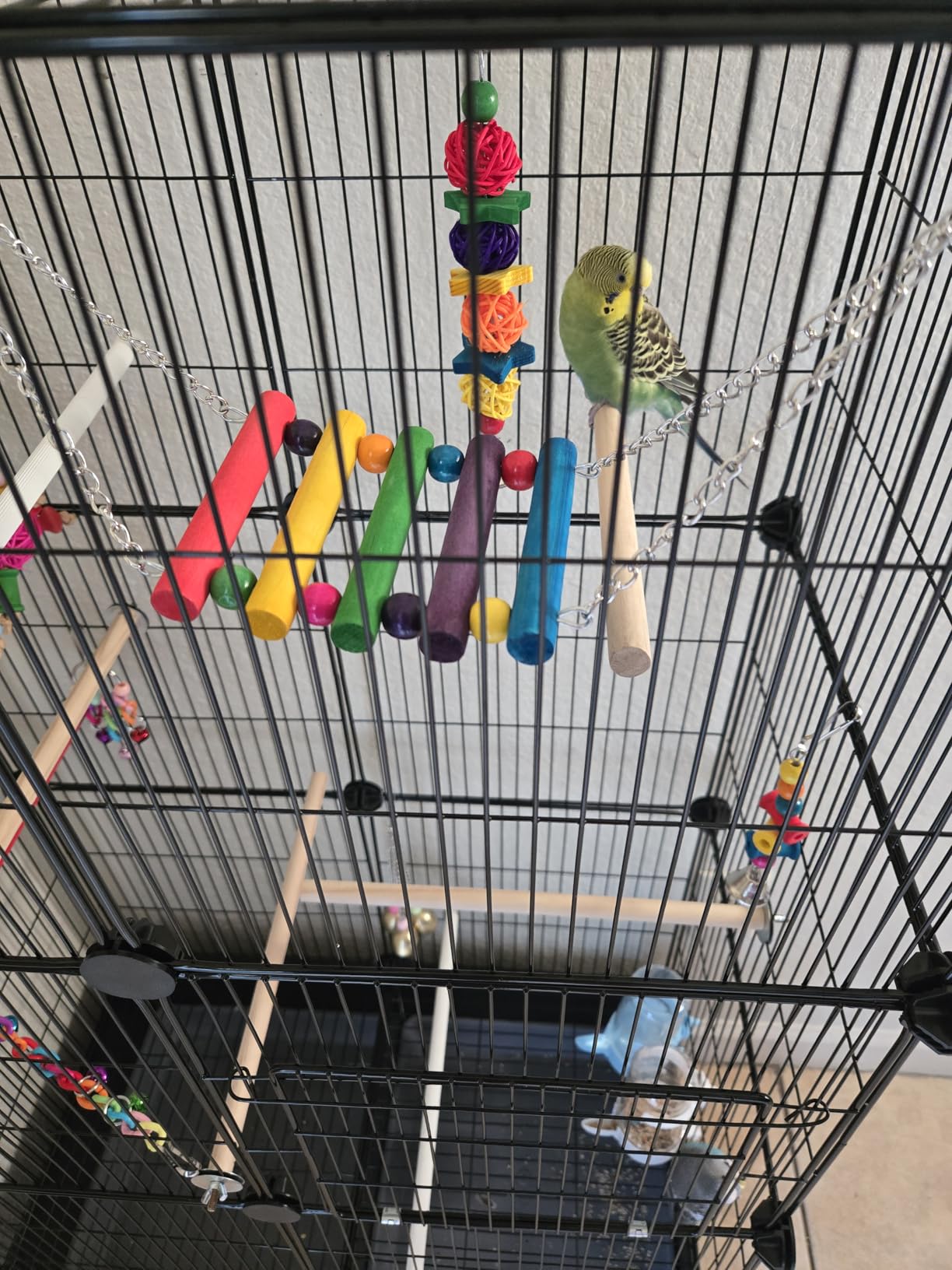 Bird Toys for Conures with Colorful Ladder Hammock Bird Cage Accerious Bird Perch Stand Chewing Toys Hanging Bell for Parrot Parakeet Cockatiel Lovebirds customer photo 2