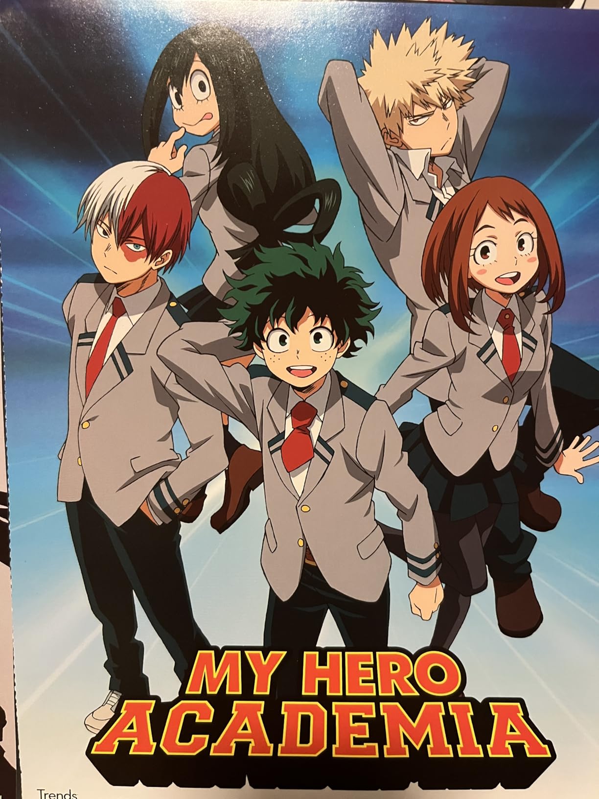 My Hero Academia Poster Set - 12 Anime Wall Art Posters 8