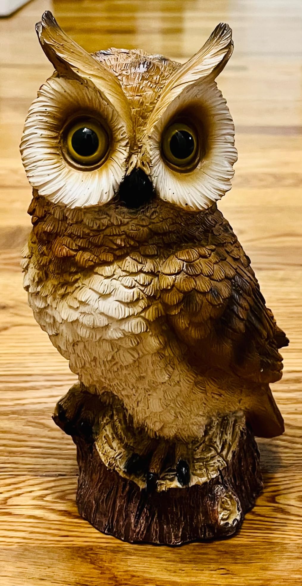 Solar Owl Garden Statues Outdoor Decor Resin Owl Figurine with LED Lights Owl Sculpture for Porch Patio Lawn Yard Decorations Christmas Housewarming Gifts for Women Mom, Brown Owl customer photo 1