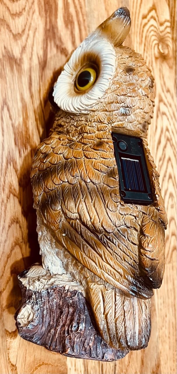 Solar Owl Garden Statues Outdoor Decor Resin Owl Figurine with LED Lights Owl Sculpture for Porch Patio Lawn Yard Decorations Christmas Housewarming Gifts for Women Mom, Brown Owl customer photo 2