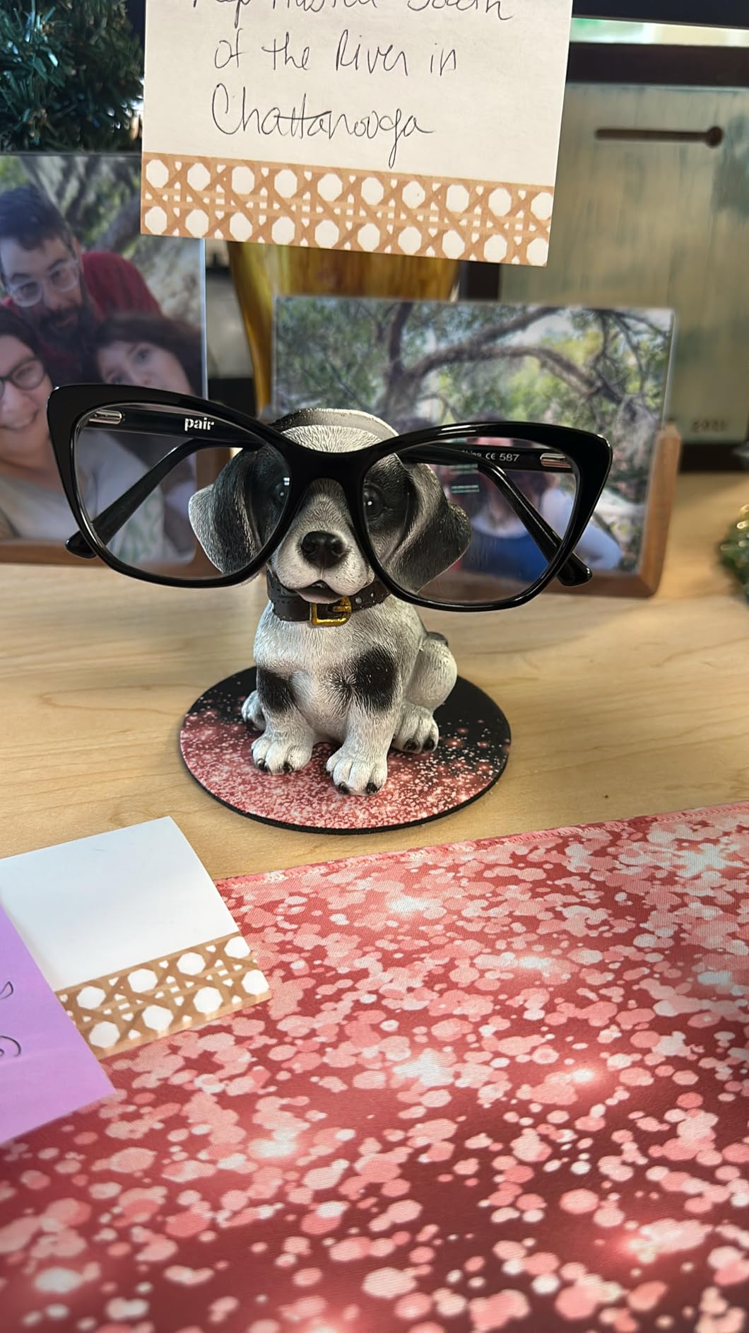 TANG SONG Creative Natural Resin Eyeglass Holder Handmade Nose Koala Stand for Office Desk Home Decor Gifts customer photo 1