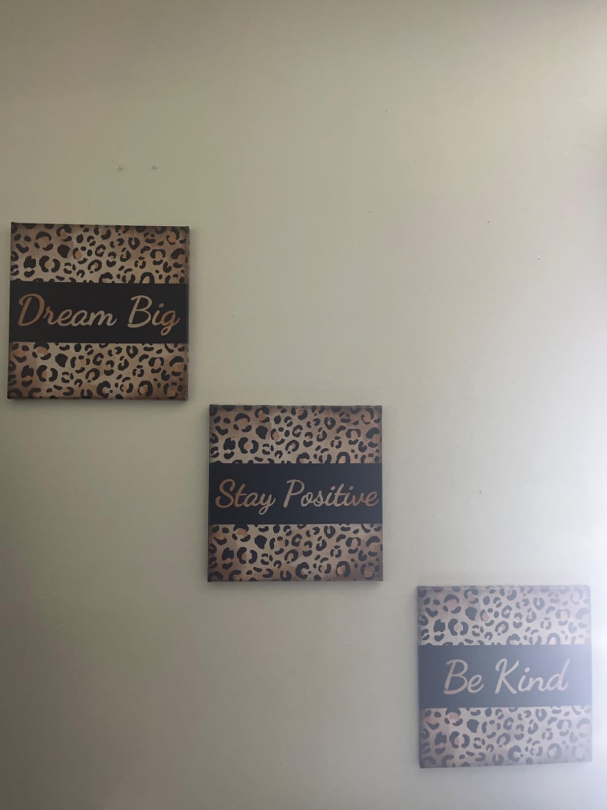 Derkymo 3 Pieces Fashion Leopard Print Pictures Motivational Canvas Art | Leopard Pictures Wall Decor Modern Giclee Artwork for Home Office Framed Ready to Hang 12x12