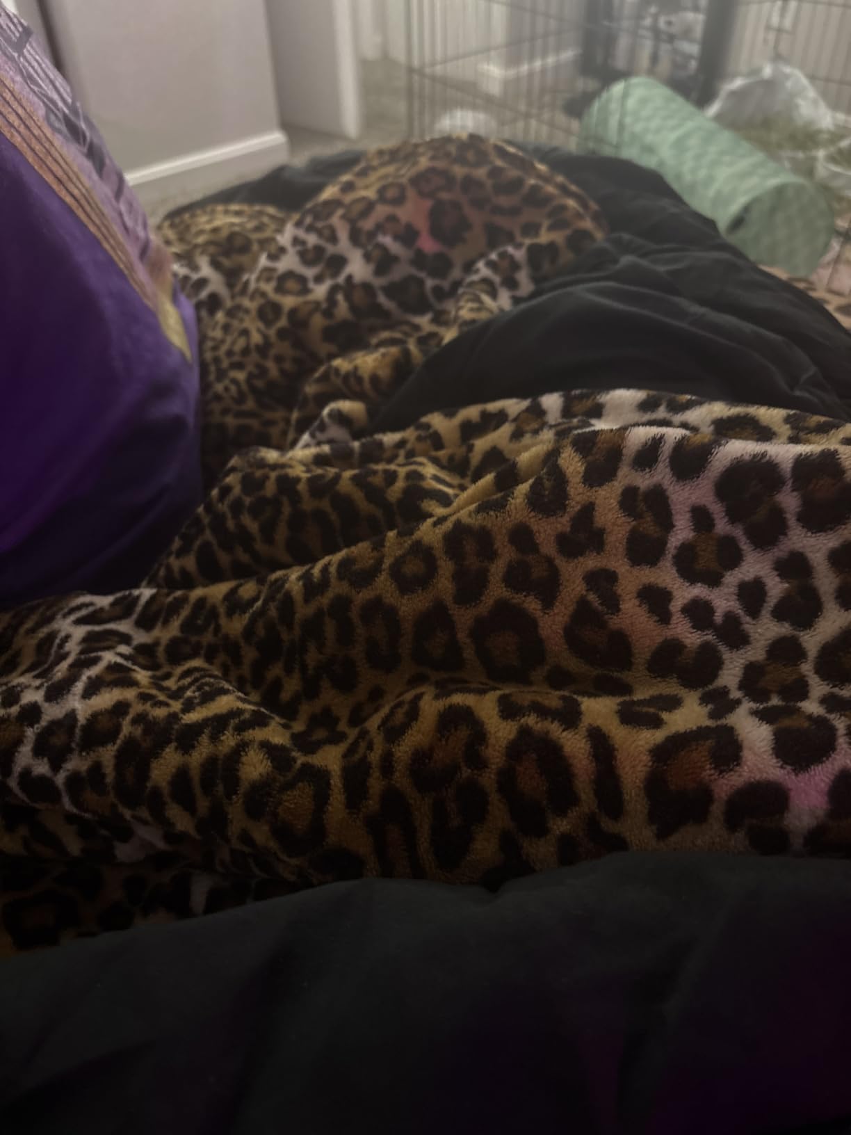 Edenleaf Leopard Print Blanket Fleece Throw for Bed Sofa Travel and Camping, Super Soft Cozy Fluffy Plush Cheetah Print Blanket for All Seasons 50