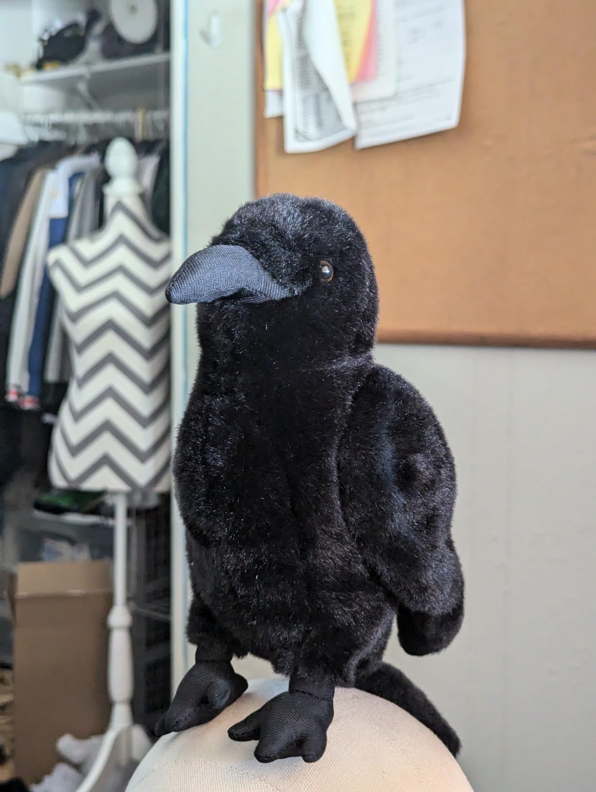 Realistic Crow Plush, Black Raven Bird Stuffed Animal Pillow Toy 9.44'' | Soft Little Bird Raven Stuffed Toys Doll, Birthday Gifts, Home Decor customer photo 1