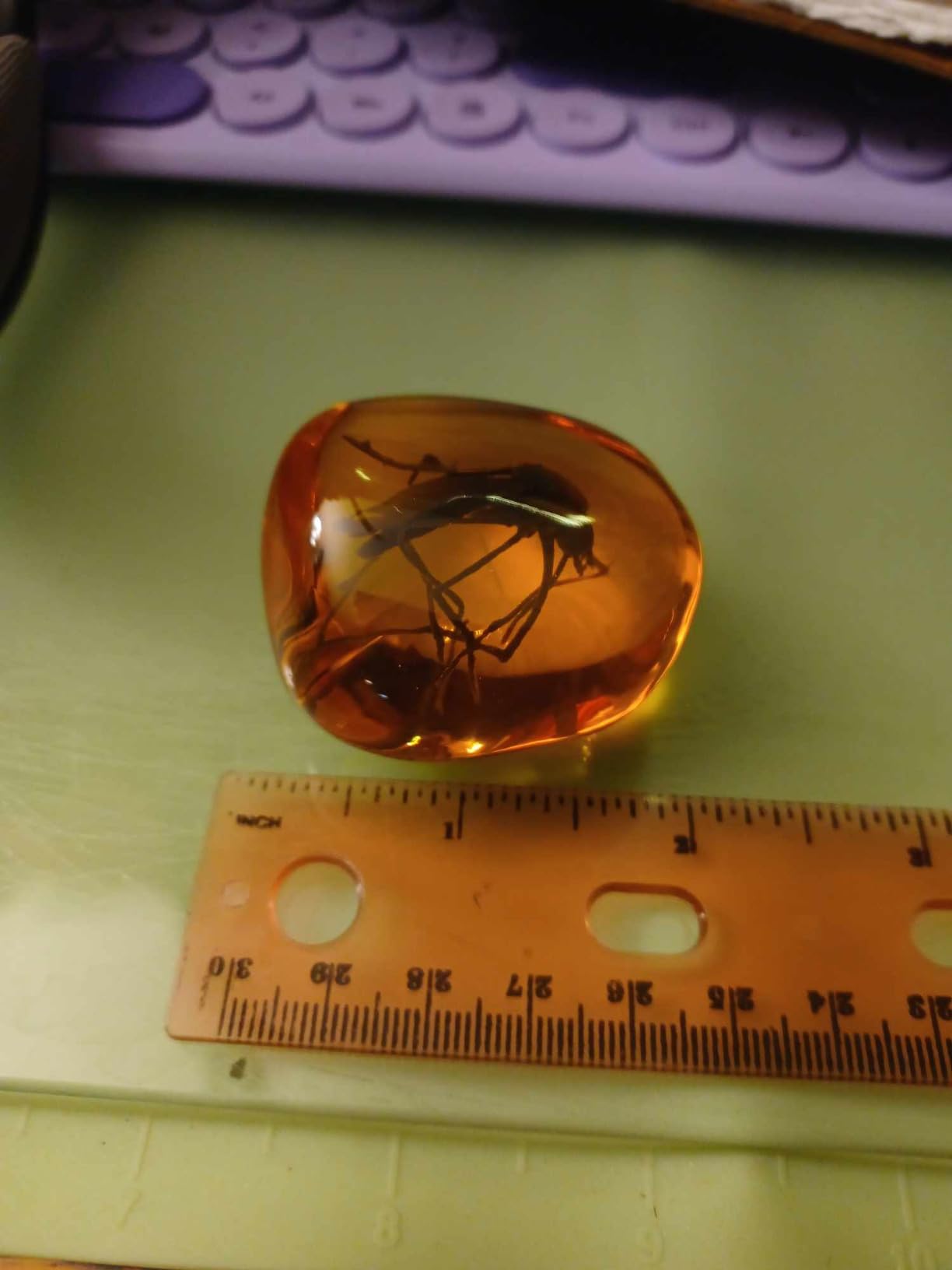 VEOJEIN Mosquito in Amber Fossil Replica Light Paperweight - DNA's Ancient Window - Dinosaur Era Relic - Premium Resin Artifact - Perfect for History & Paleontology Enthusiasts customer photo 2
