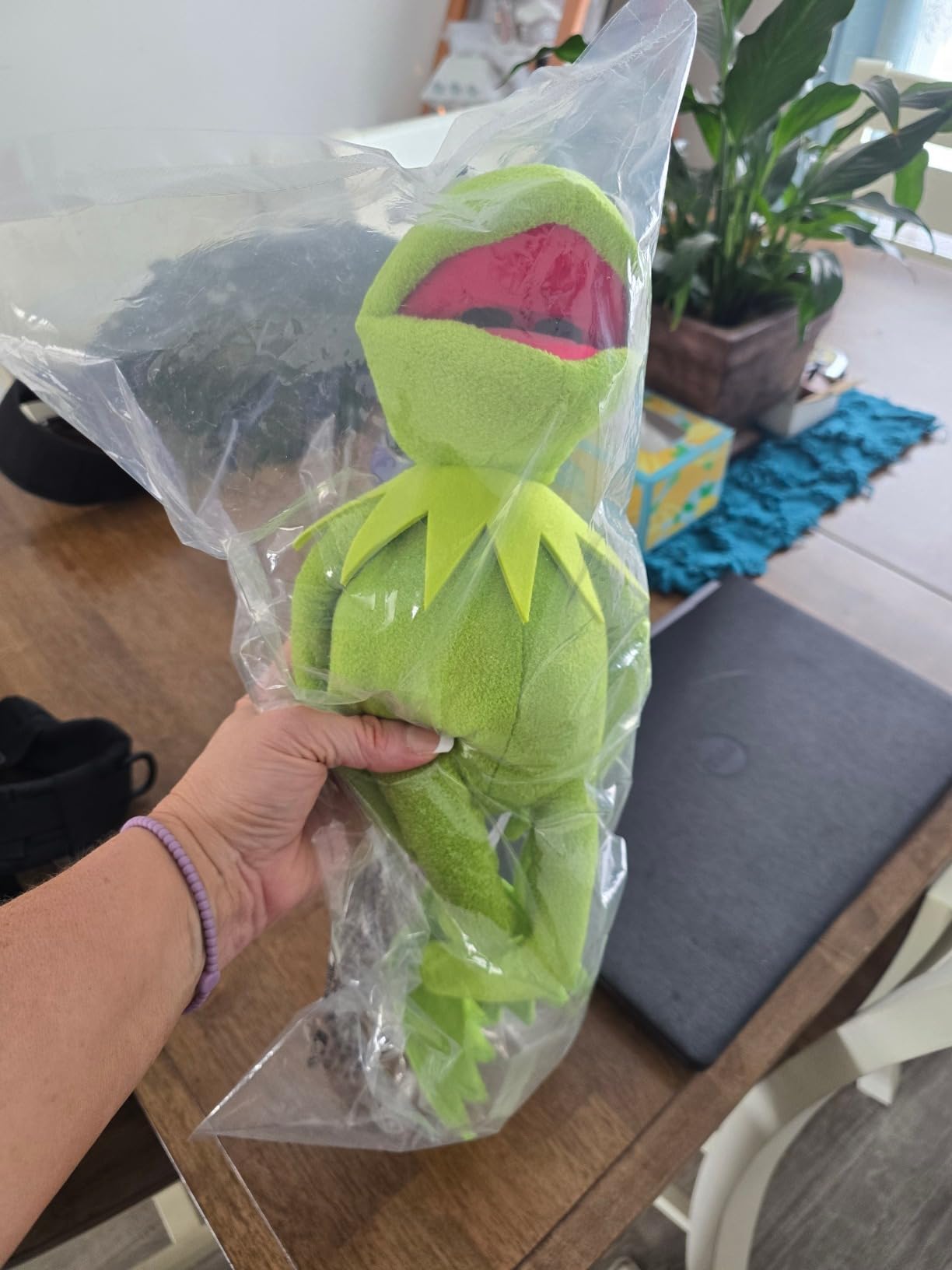 Disney Store Official Kermit The Frog Plush - The Muppets Show Collectible Stuffed Animal, 18 inches customer photo 2