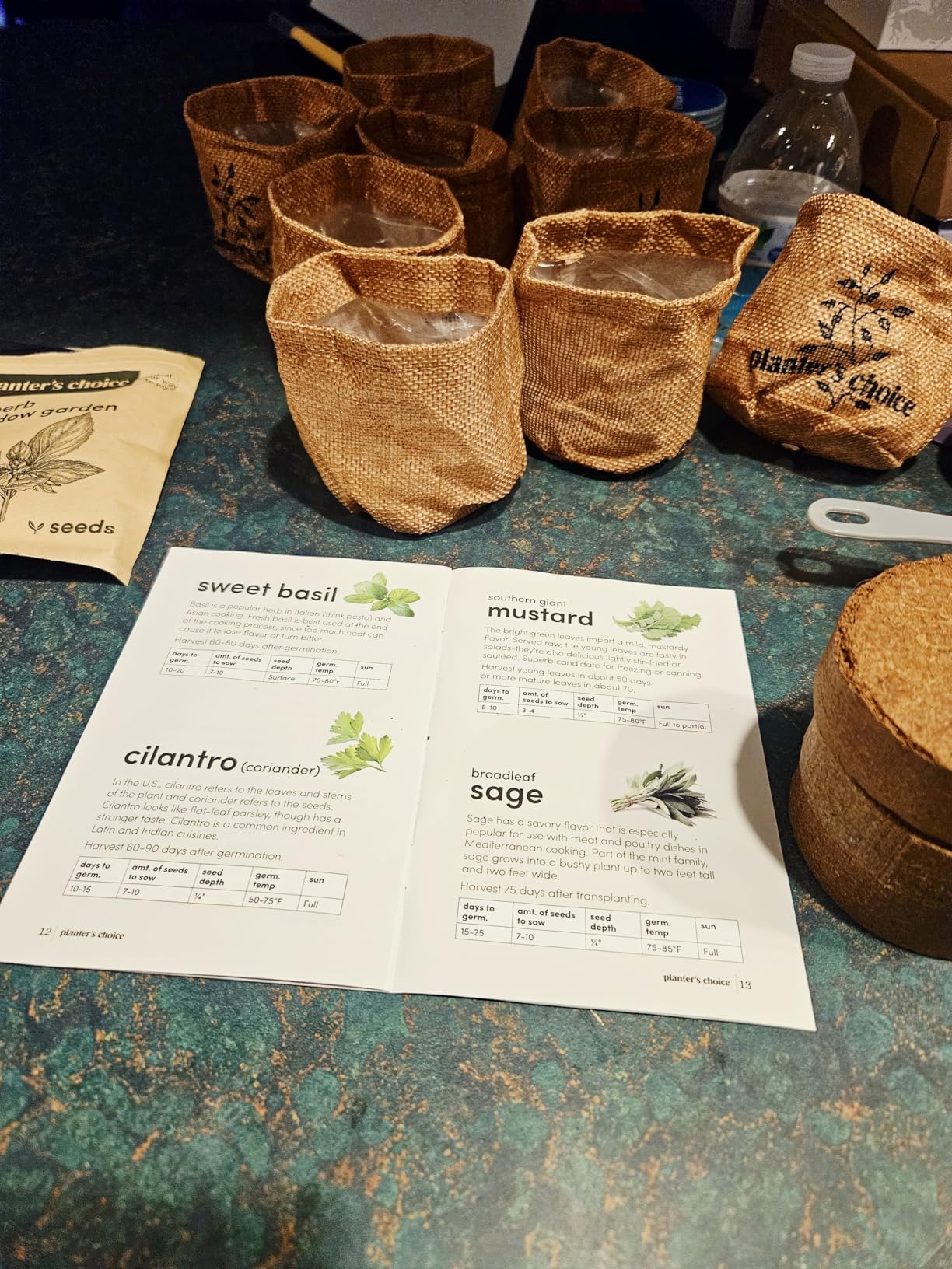 9 Herb Indoor Window Garden Kit - House Plants Seeds - Birthday Gifts | Best Unique Gift Ideas for Women, Mom, Friend, Her, Housewarming, Mother - Live Plant Starter, Gardening Lovers customer photo 2