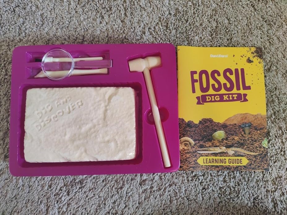Real Fossil Dig Kit for Kids - Science Kits for Boys & Girls Age 8-12 Years | Birthday Gift Ideas for 8, 9, 10, 11, 12 Year Old Boy or Girl - Fossils Digging STEM Toys for Ages 8-13 customer photo 1