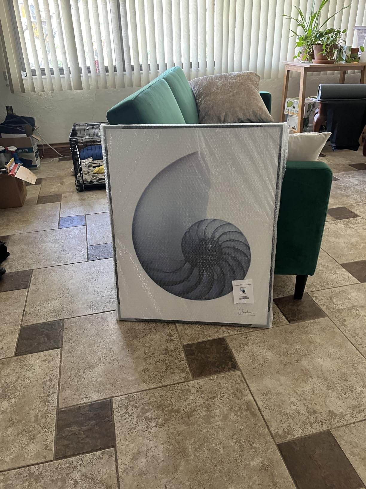 'Contemporary Nautilus Shell'| Framed Giclee Art | Stupell Industries | Black, 16 x 20 Inches, Easy to Hang and Sturdy, Made in USA, by Albert Koetsier customer photo 1