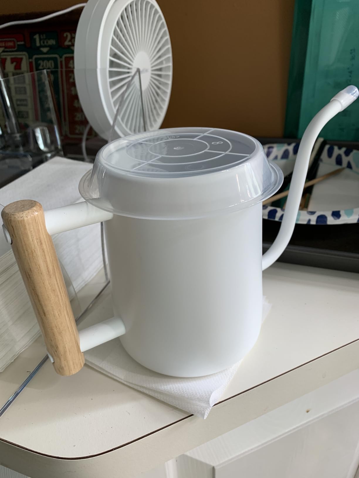 Metal Small Indoor Watering Can with Long Spout & Real Wood Handle, 35oz | Long Spout, Stainless Steel, Real Wood Handle, Gentle Flow, No Spills, Suitable for House Plants, Succulents & Seedlings customer photo 1
