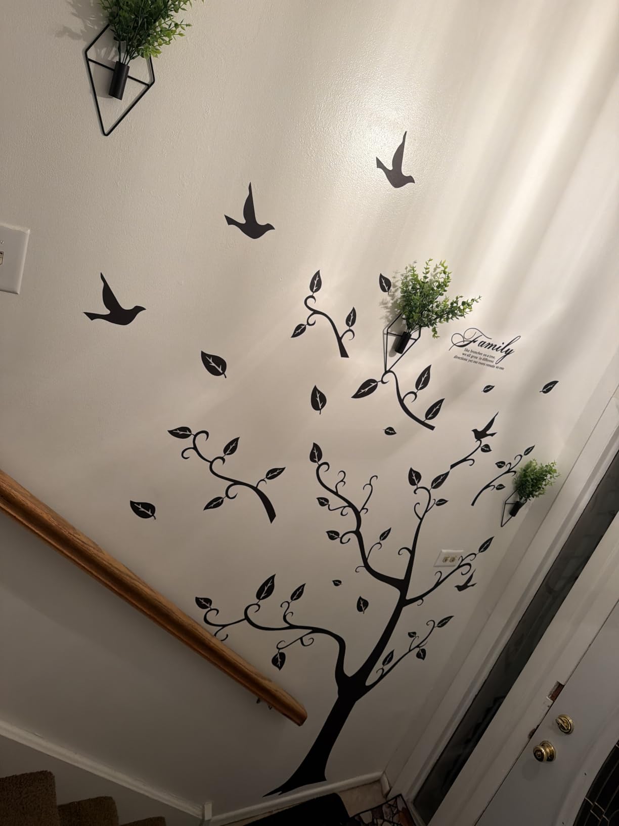Large Family Photo Tree Wall Sticker 3D Peel and Stick Vinyl Photo Frame Tree Wall Decals Removable Quotes Leaf and Birds Wall Decor for Home Kids Bedroom Living Room Classroom Nursery (Right, Brown) customer photo 1