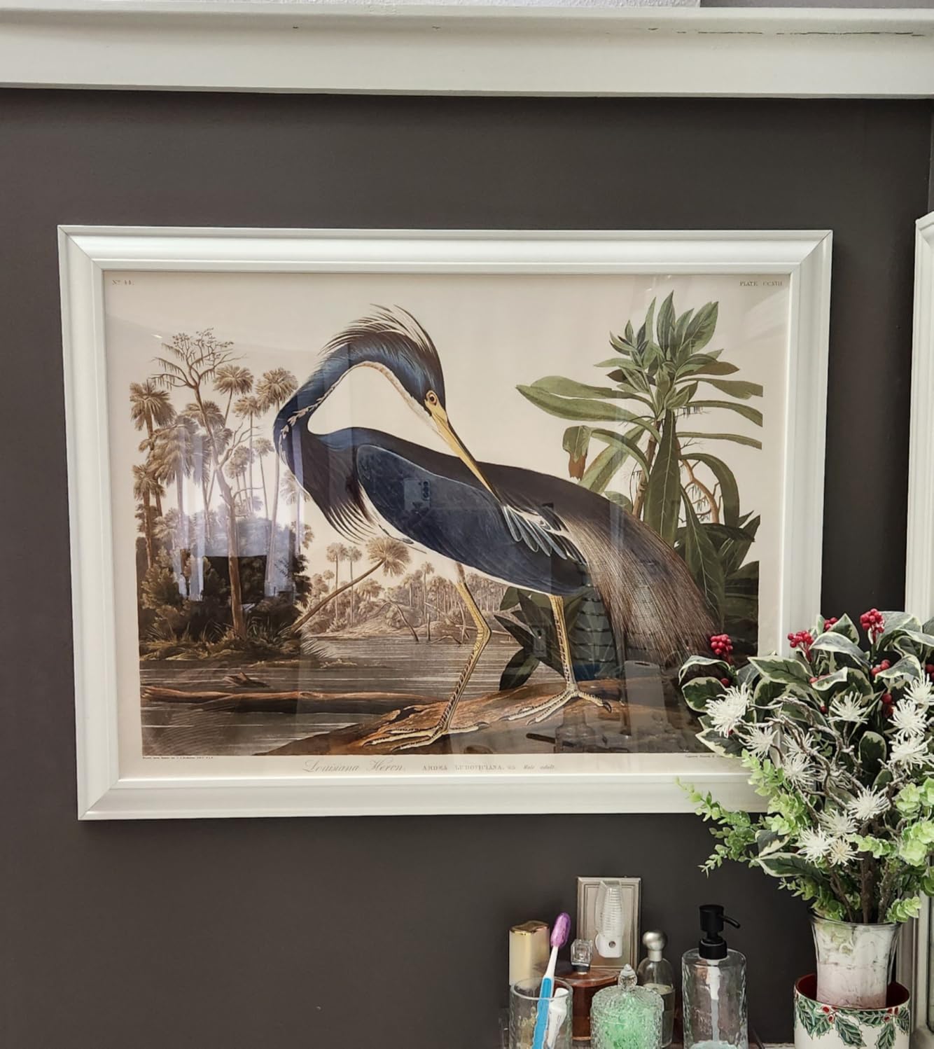Poster Master Vintage James Audubon Poster - Iceland Falcon Print - Jer Falcon Art - Birds of America Art - Gift for Men, Women & Animal Lover - Decor for Dorm or Living Room - 8x10 UNFRAMED Wall Art customer photo 1