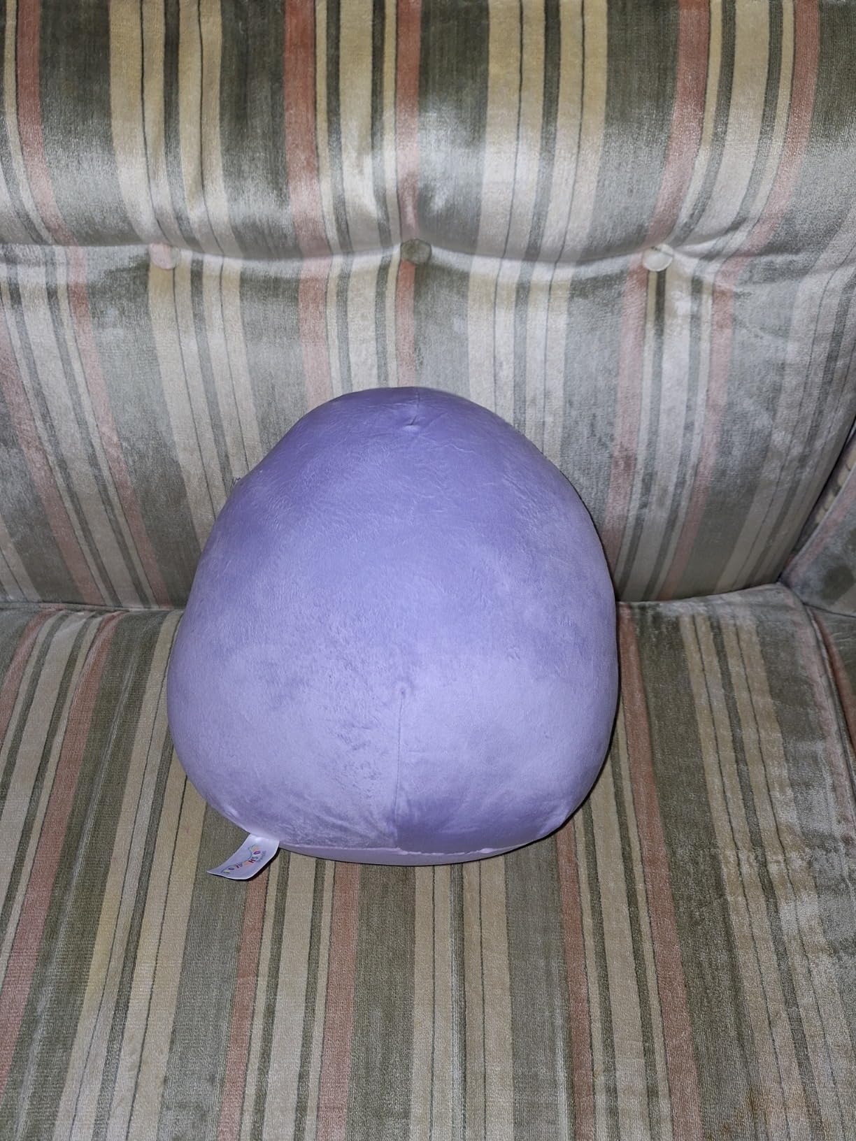 Squishmallows Original 12-Inch Tew Purple Water Bear - Official Jazwares Plush customer photo 2