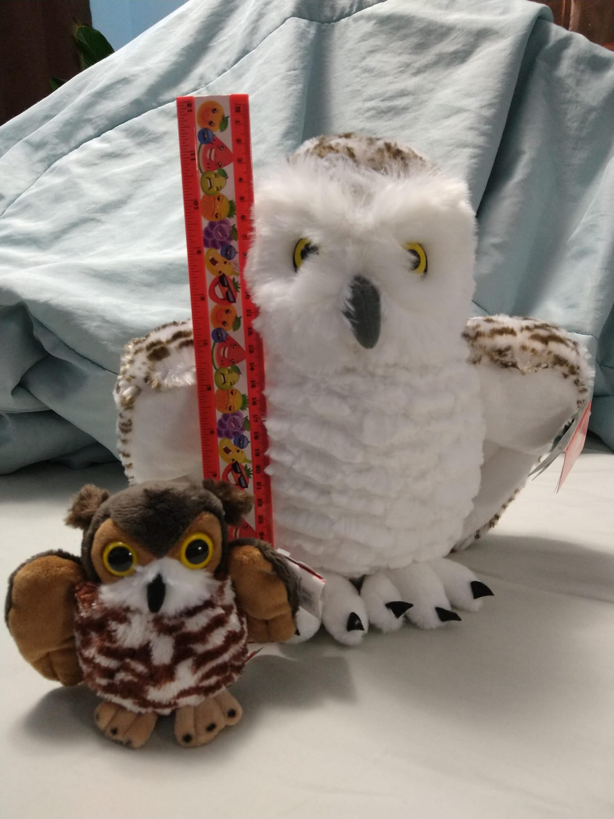 Wild Republic Pocketkins Great Horned Owl Stuffed Animal - 5