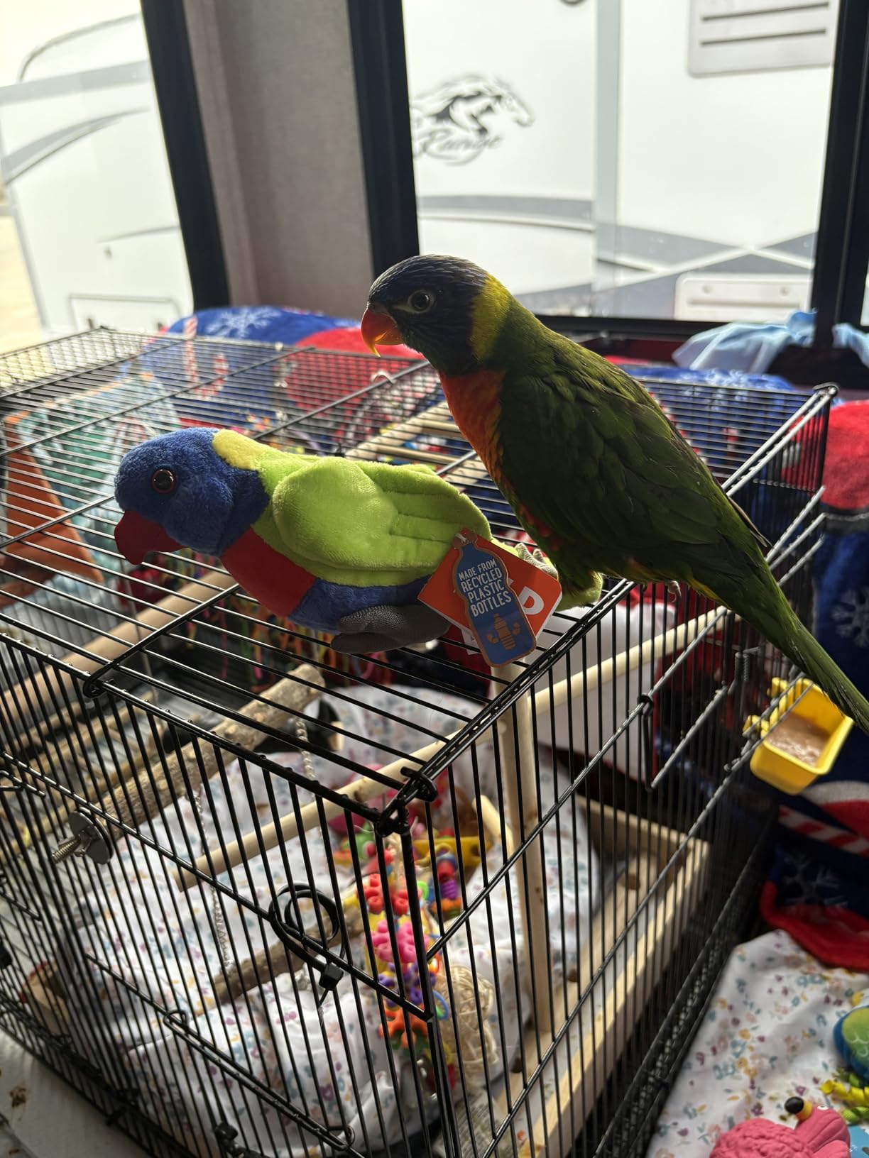 Wild Republic Pocketkins Lorikeet Stuffed Animal - 5