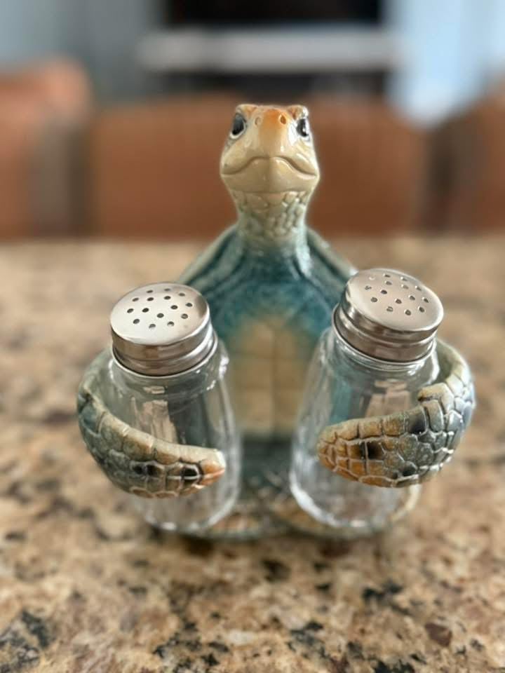 Hodao Sea Turtle With Salt and Pepper Shaker Figurines Decorations Set with Holder Figurine for Beach Bar or Tropical Kitchen Decor Table Decorations For Home Gifts (Turtle) customer photo 2