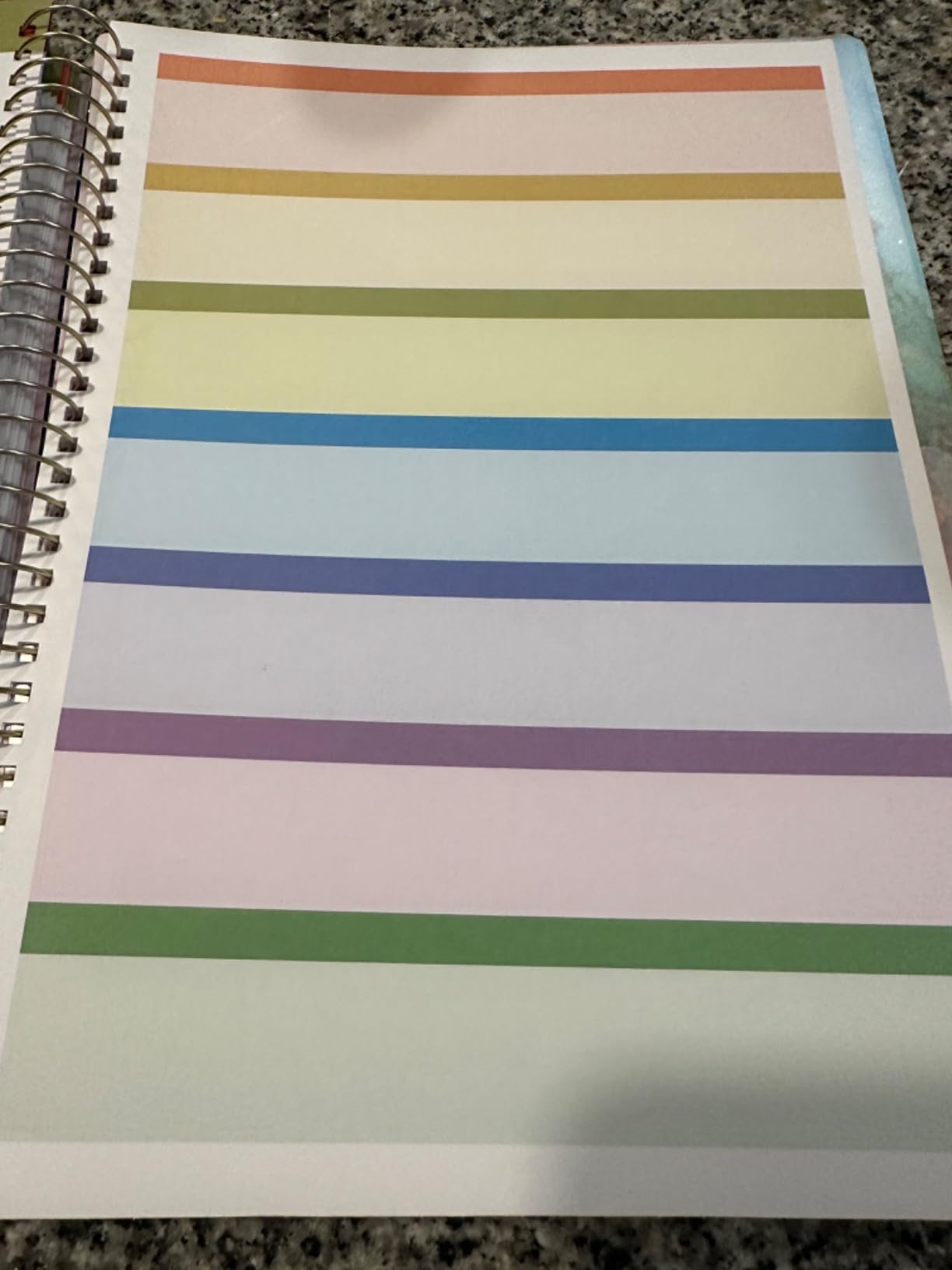 SUNEE Deluxe Teacher Planner 2026-2027 customer photo 1