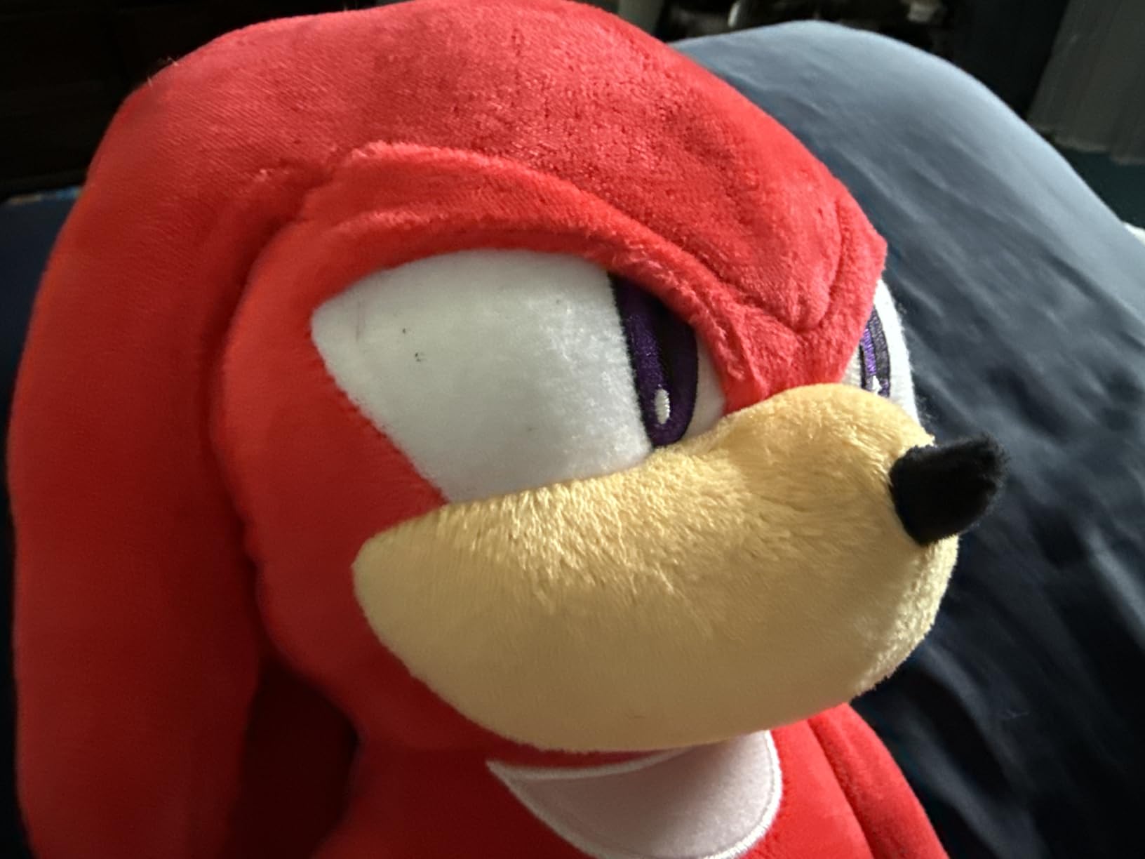 Sonic The Hedgehog Anime Kids Super Plush Cozy Snuggle 3D Pillow (Officially Licensed Product) by Franco customer photo 1