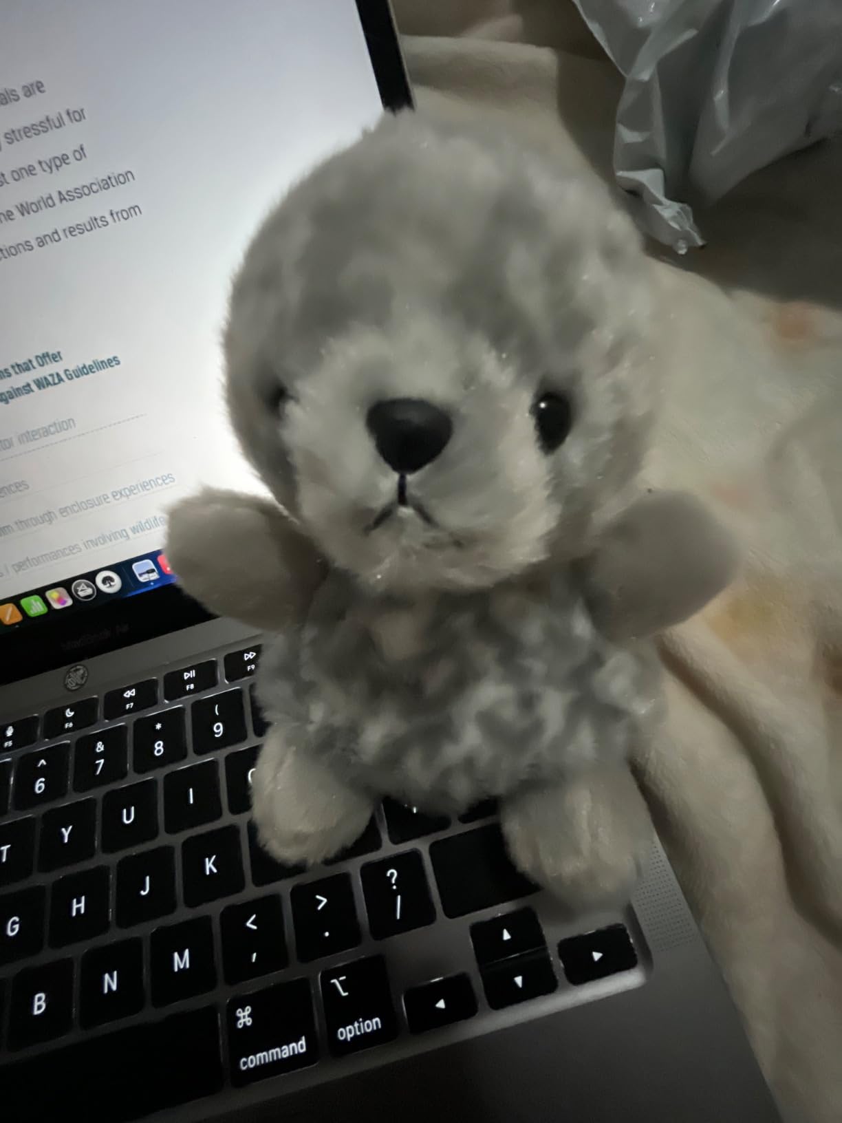 Aurora Adorable Palm Pals Marina Harbor Seal Stuffed Animal - Pocket-Sized Play - Collectable Fun - Grey 5 Inches customer photo 2