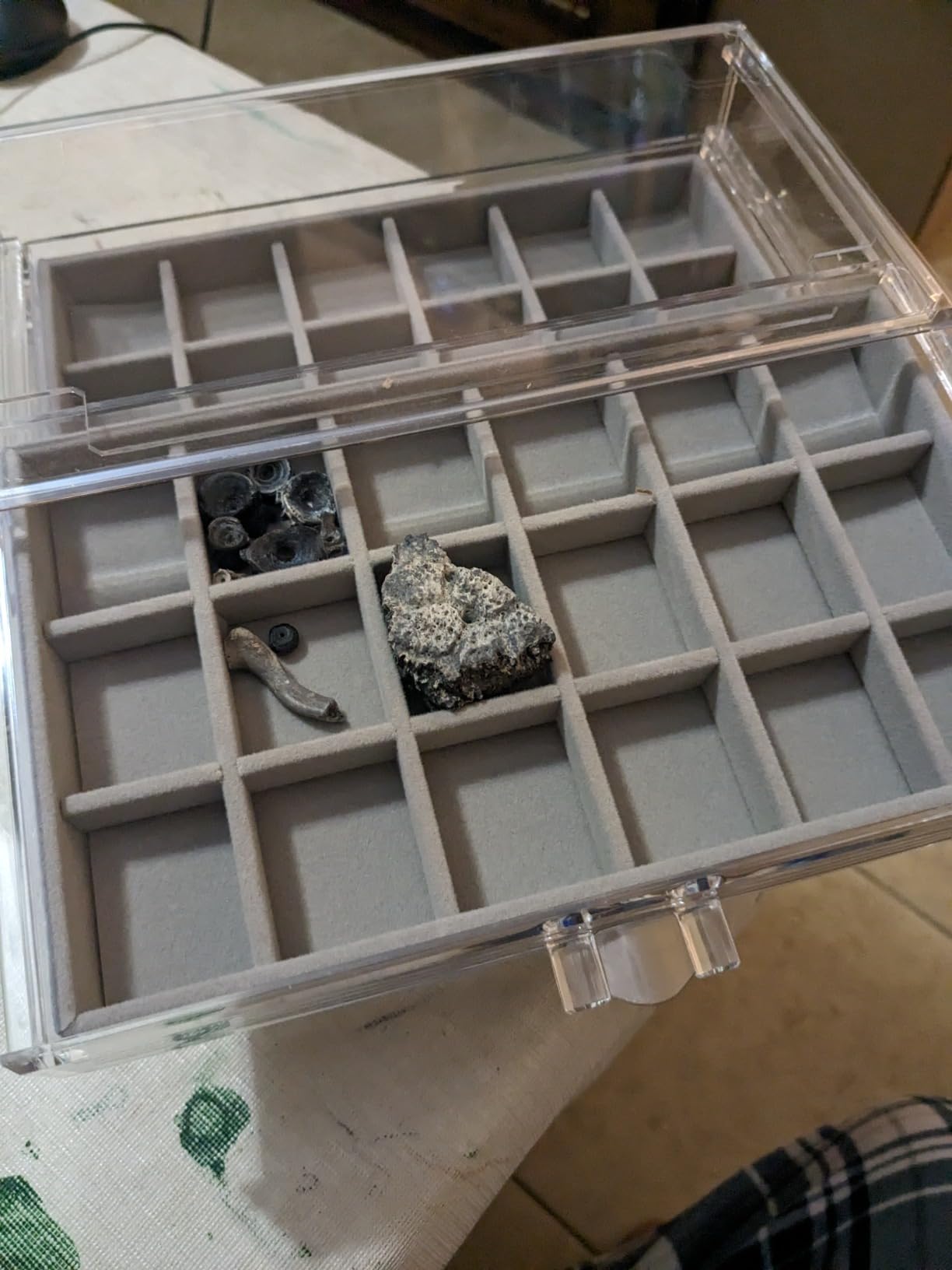 Rock Display Case, Rock Collection Box for Kids & Adults | Crystal Display Shelf, Organizer & Case for Gemstone, Fossil, Mineral | Rock Collection Display Case for All Collectibles customer photo 2