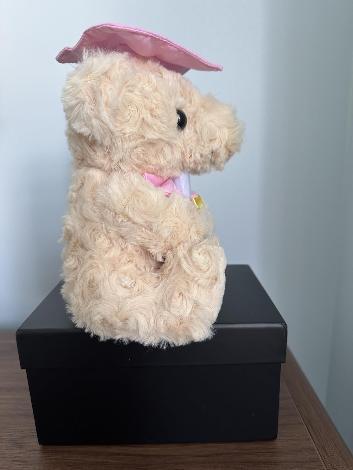 2026 Graduation Bear, 8in Teddy with Bow Tie, Cap, Diploma & Gift Box | Bow tie, 8in plush bear, cap and diploma, gift box included for preschool and kindergarten graduation customer photo 2