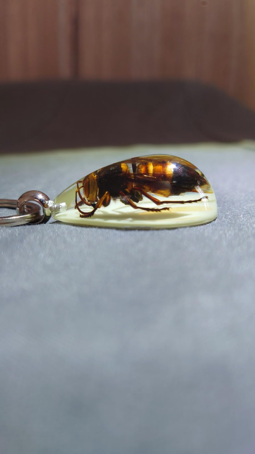 HQRP-Crystal 43mm Real Asian Giant Hornet in Glow in The Dark Lucite Keychain Insect Animal Taxidermy Sample customer photo 1