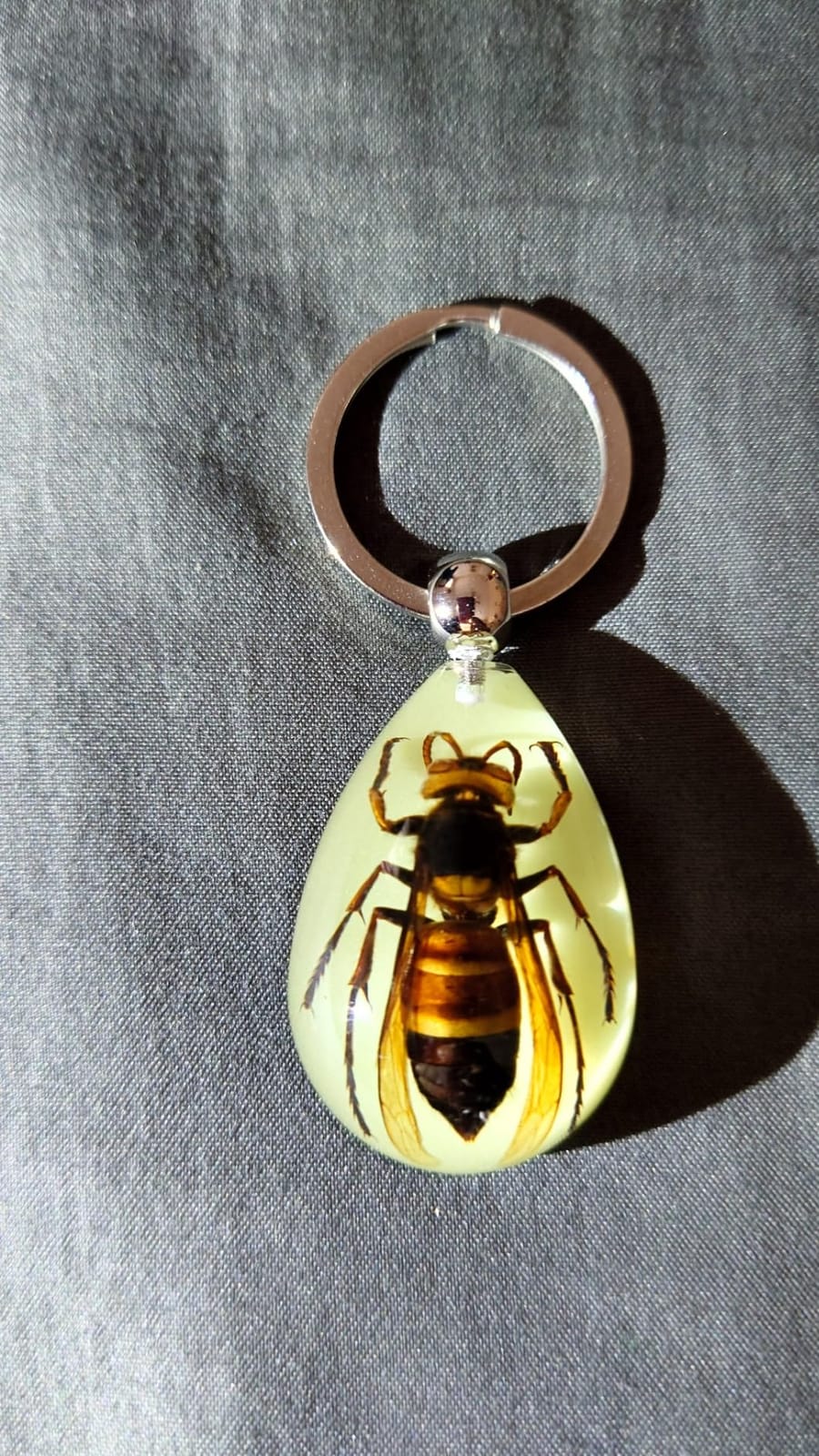 HQRP-Crystal 43mm Real Asian Giant Hornet in Glow in The Dark Lucite Keychain Insect Animal Taxidermy Sample customer photo 2