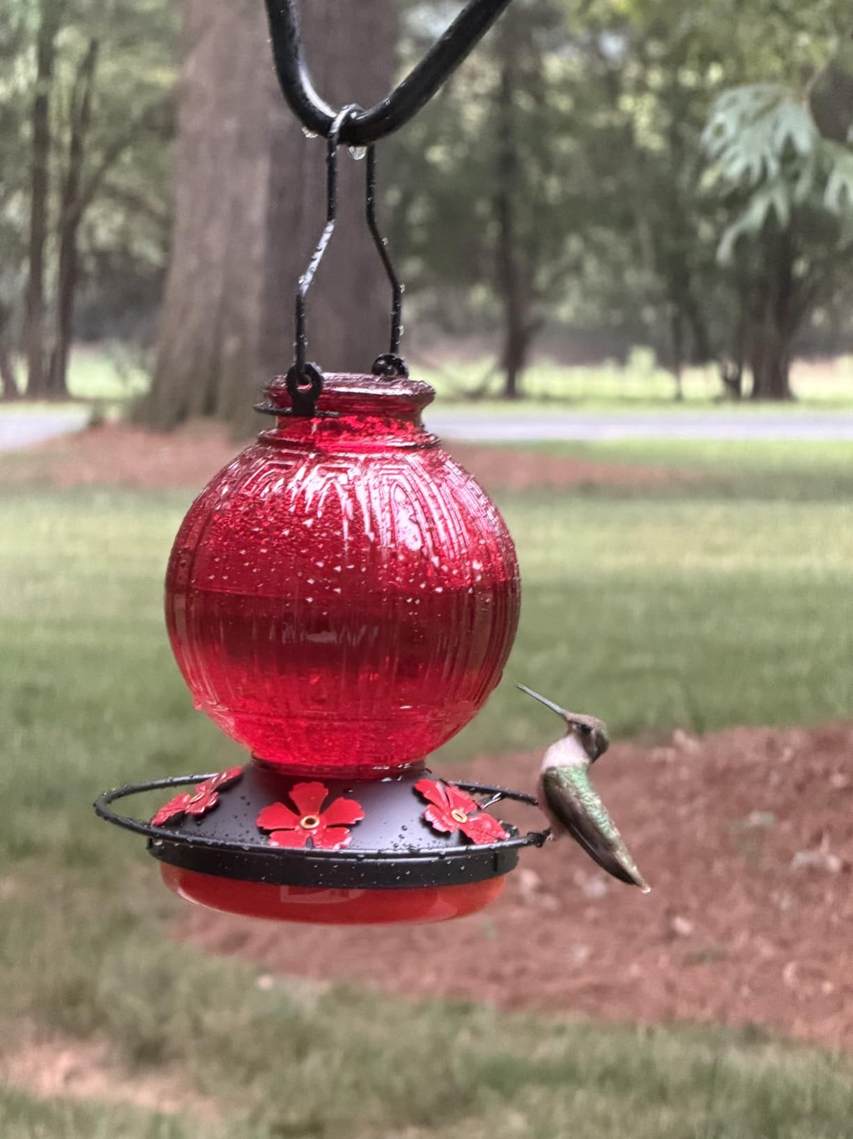 Glass Hummingbird Feeder for Outdoors Hanging, 26Oz Bird Nectar Feeder with Perch & 5 Flower Feeding Ports, Leak Proof for Outside Garden Decor Backyard, Gifts for Women Mom, Red customer photo 2