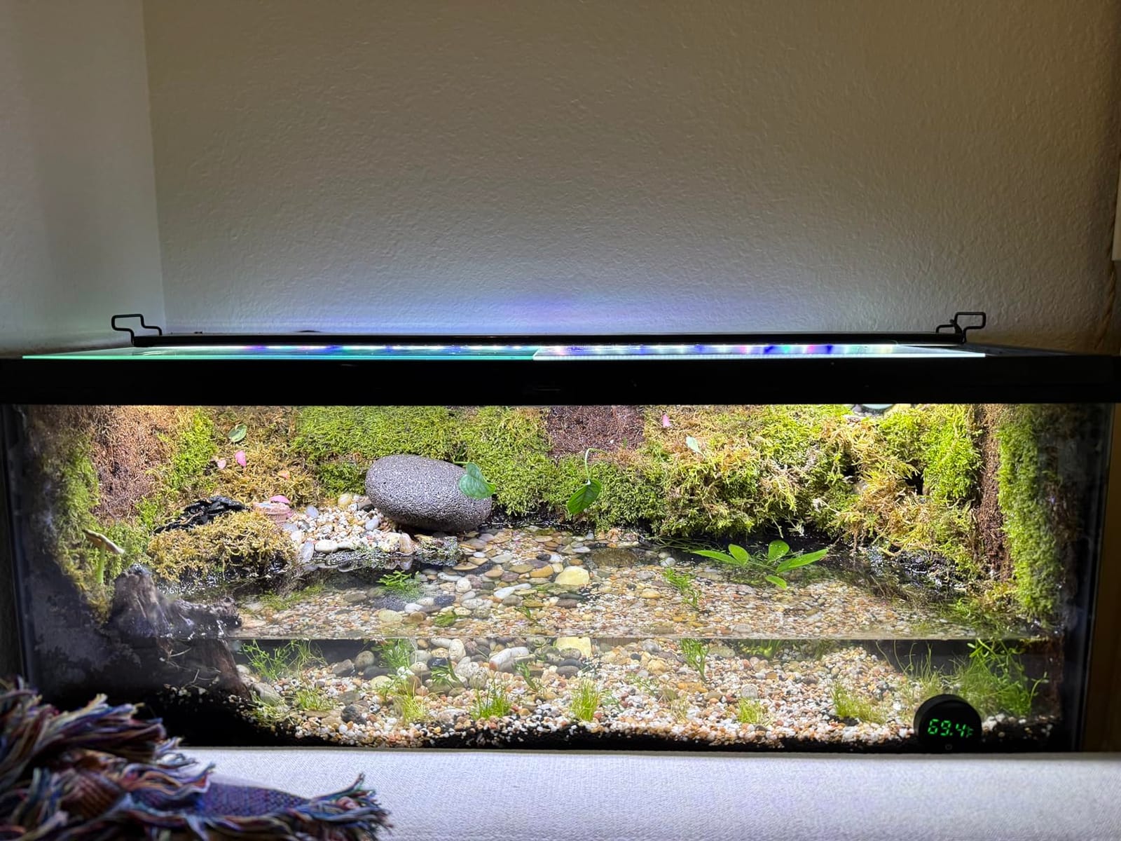 QZQ Fish Tank Thermometer Aquarium Thermometer Wireless Touch Stick Digital Aquarium Thermometer LED Display ±1°F for Monitoring The Fish Tank Aquarium Temperature Accessories customer photo 1