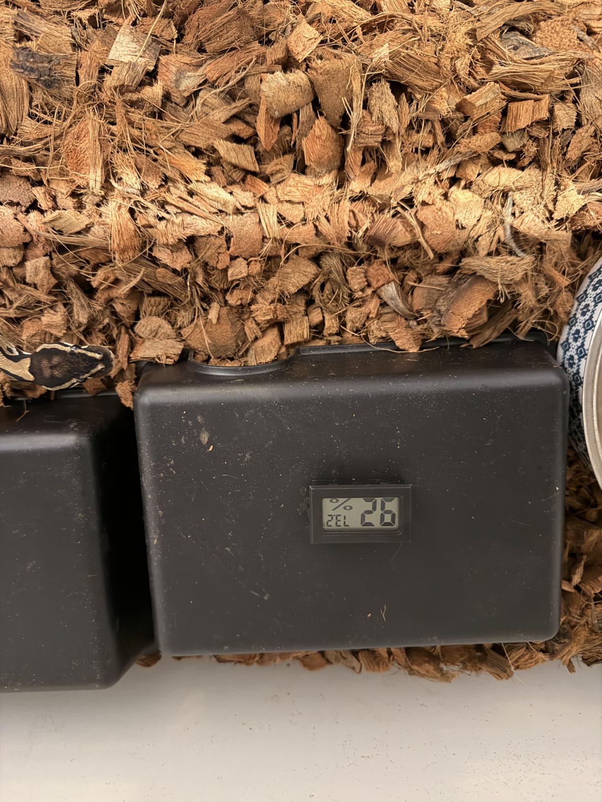 Reptile Thermometer and Humidity Gauge,2PCS Digital Hygrometer Adhesive Reptile Terrarium Hydrometer,Bearded Dragon Tank Accessories,Pet Humidity Meter Supplies for Leopard Crested Gecko,Snake,Lizard customer photo 1