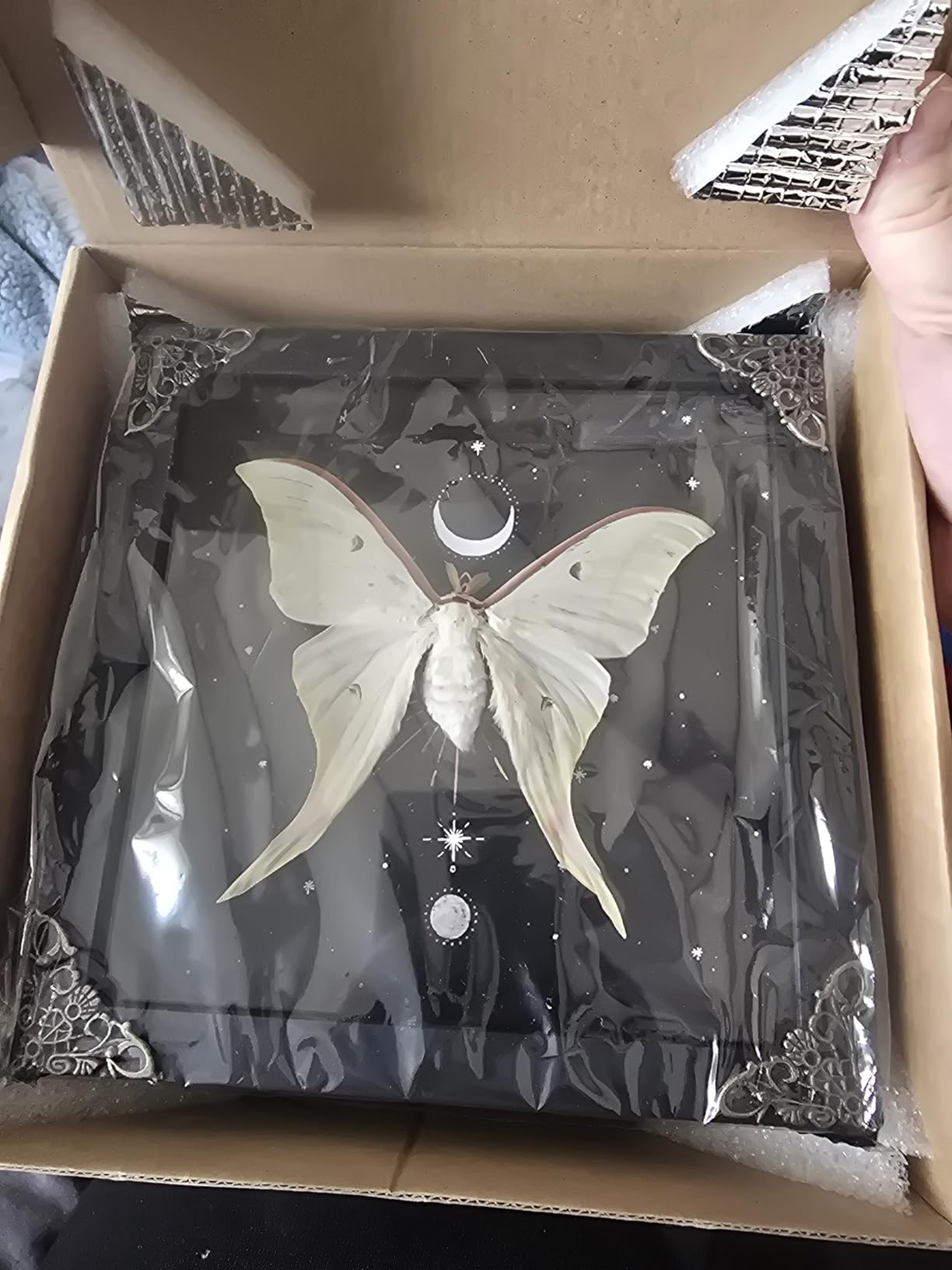 Real Atlas Moth 10.2