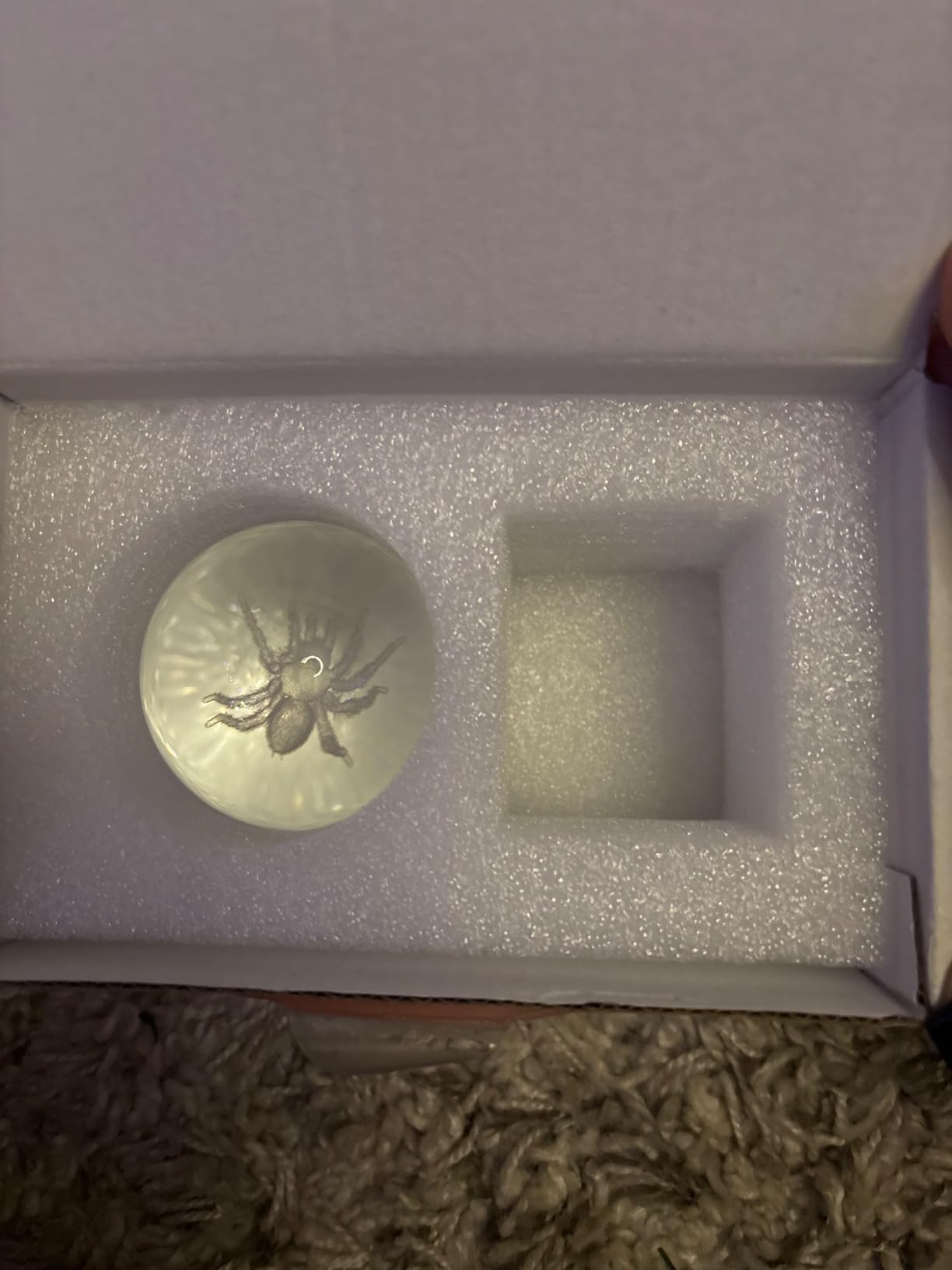 60mm 3D Spider Crystal Ball with Stand - 3D Laser Engraved Tarantula Animal Figurine Paperweight Home Table Decor Gift customer photo 1