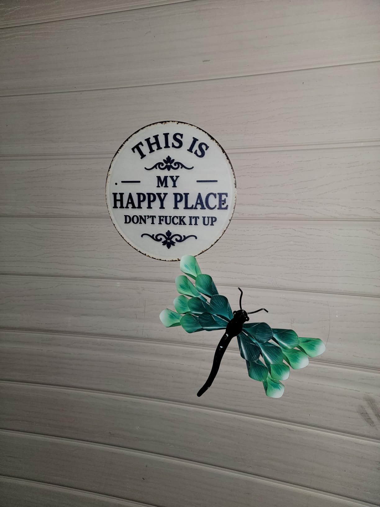 LIFFY Glass Metal Dragonfly Wall Decor Pair - Outdoor Wall Art for Garden and Home - Hanging Decor Gifts for Women, Light Blue customer photo 2